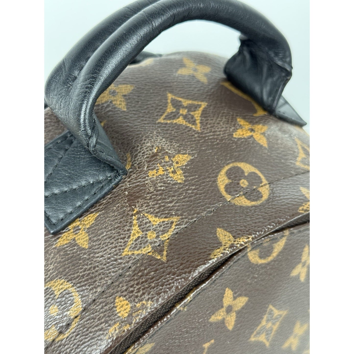 Louis Vuitton Palm Springs Backpack Monogram Canvas MM