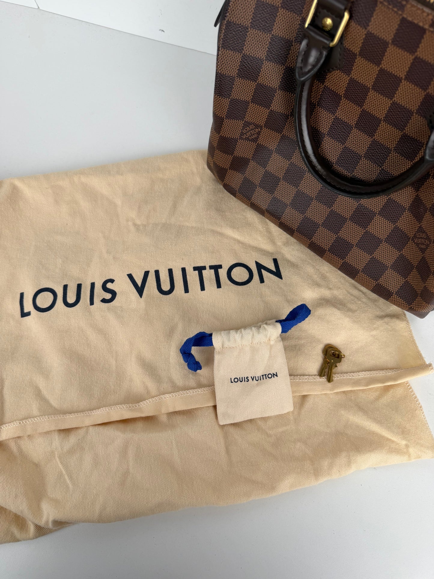 Louis Vuitton Speedy 25 Bag in Damier Ebene Coated Canvas 2019 C-9
