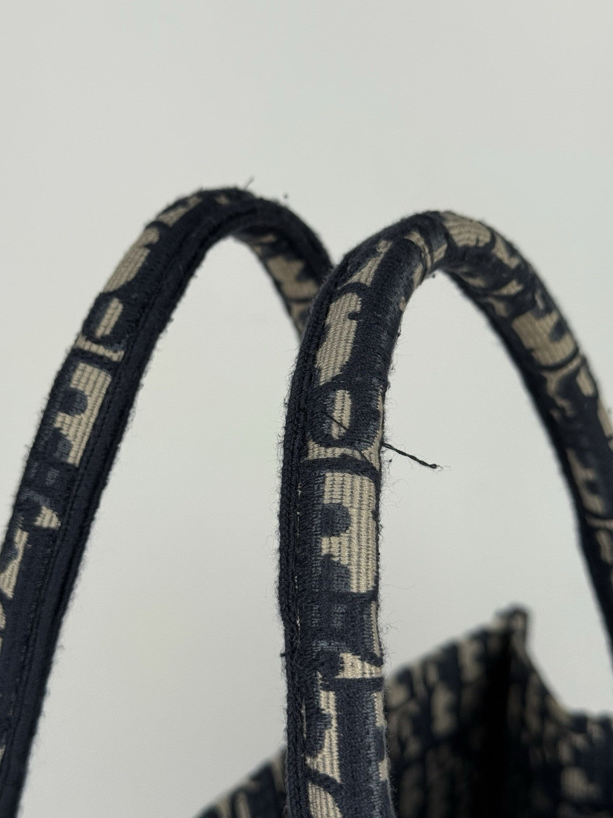 Christian Dior Oblique Large Book Tote Women's Bag in Blue