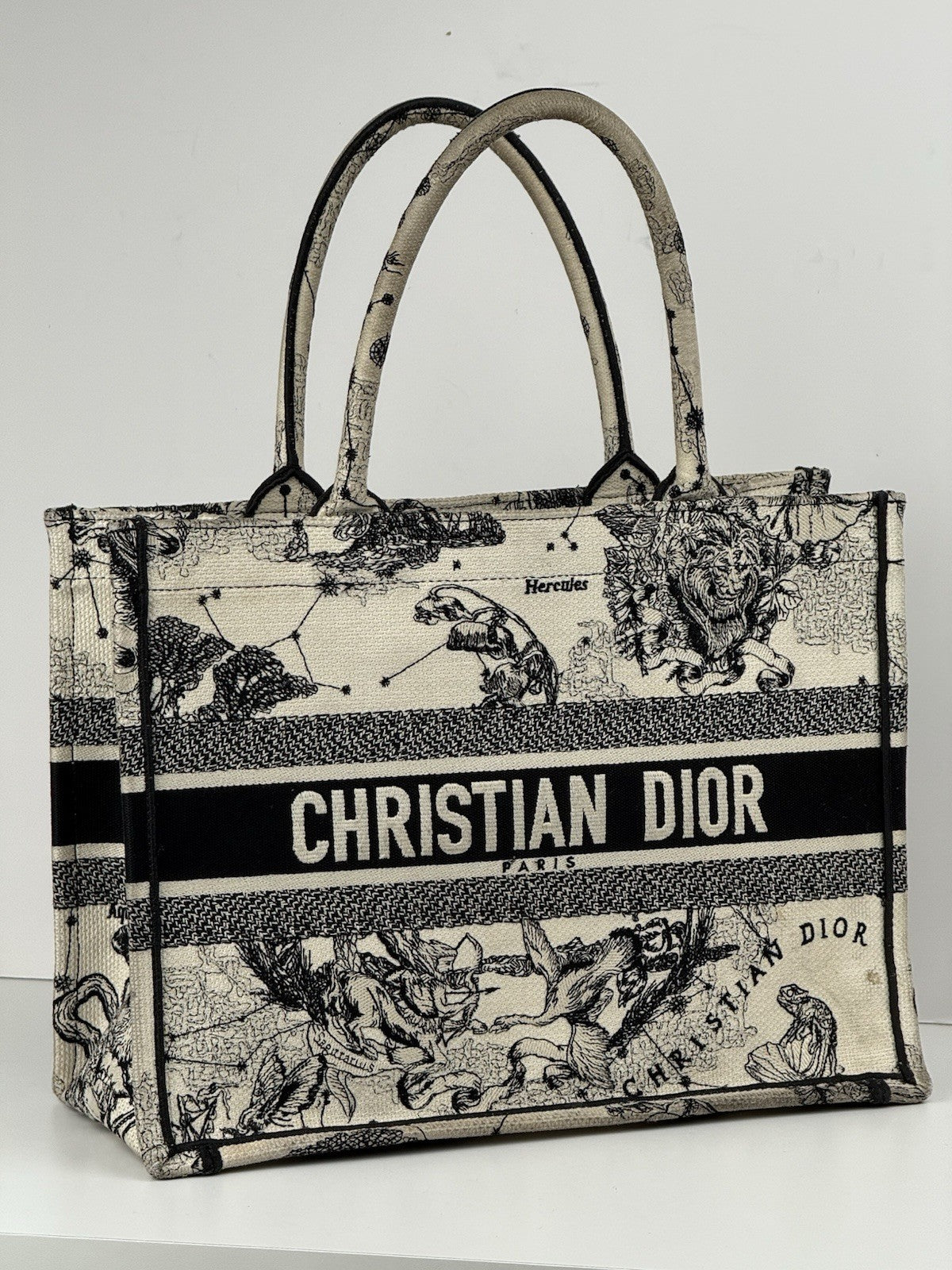 Dior Book Hercules Tote Embroidered Canvas Medium Bag
