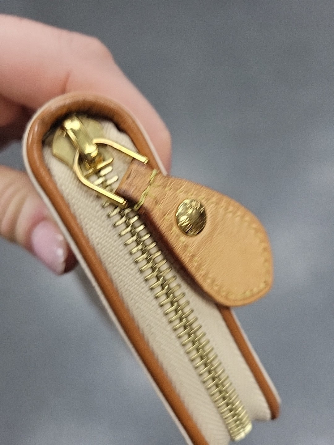 LOUIS VUITTON Monogram Fall For You Zippy Long Wallet