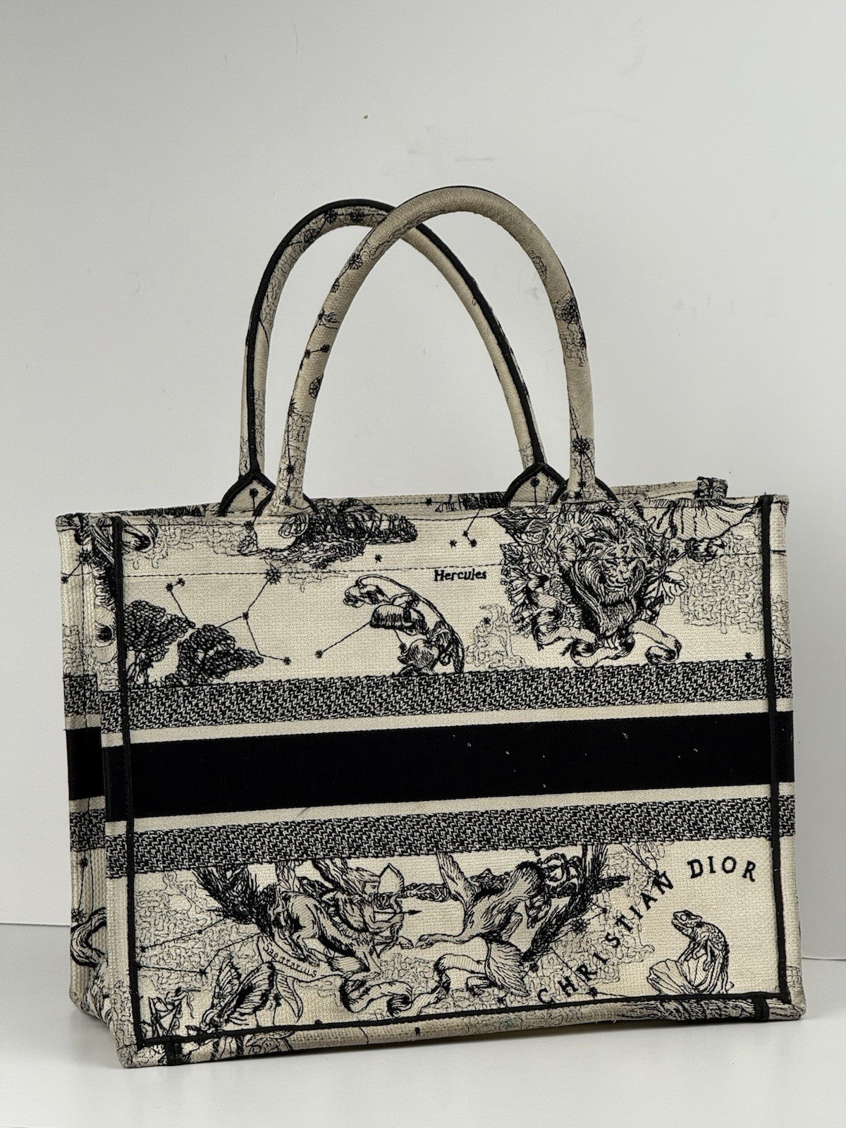 Dior Book Hercules Tote Embroidered Canvas Medium Bag