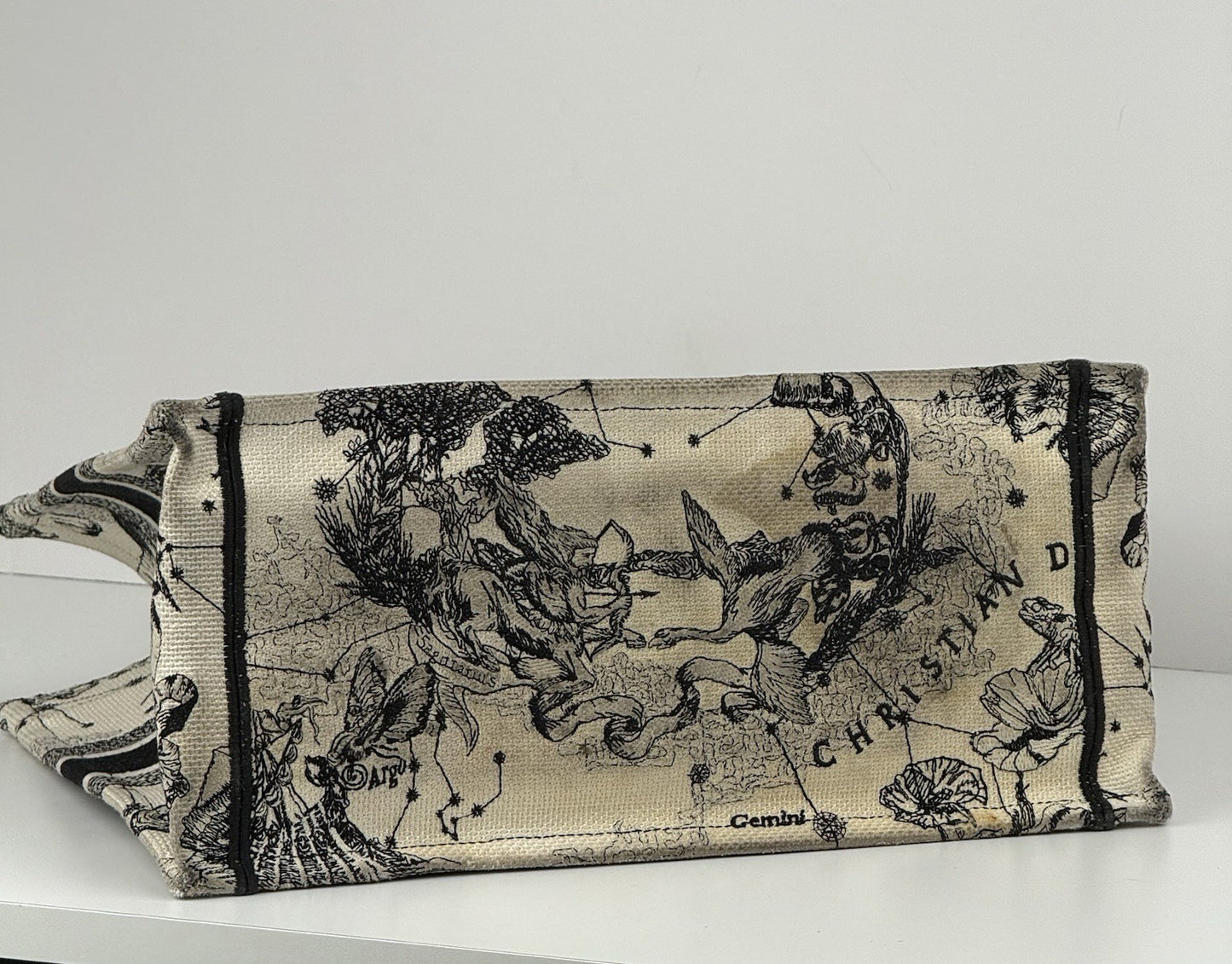 Dior Book Hercules Tote Embroidered Canvas Medium Bag