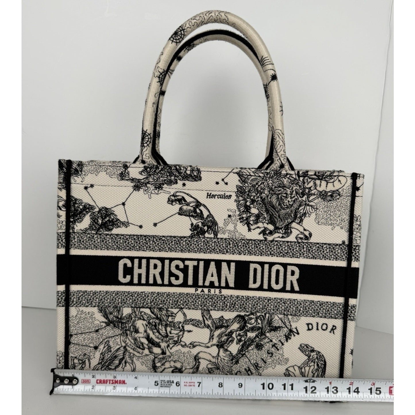 Christian Dior Book Tote Medium Bag in the Toile De Jouy Zodiac Embroidery B3