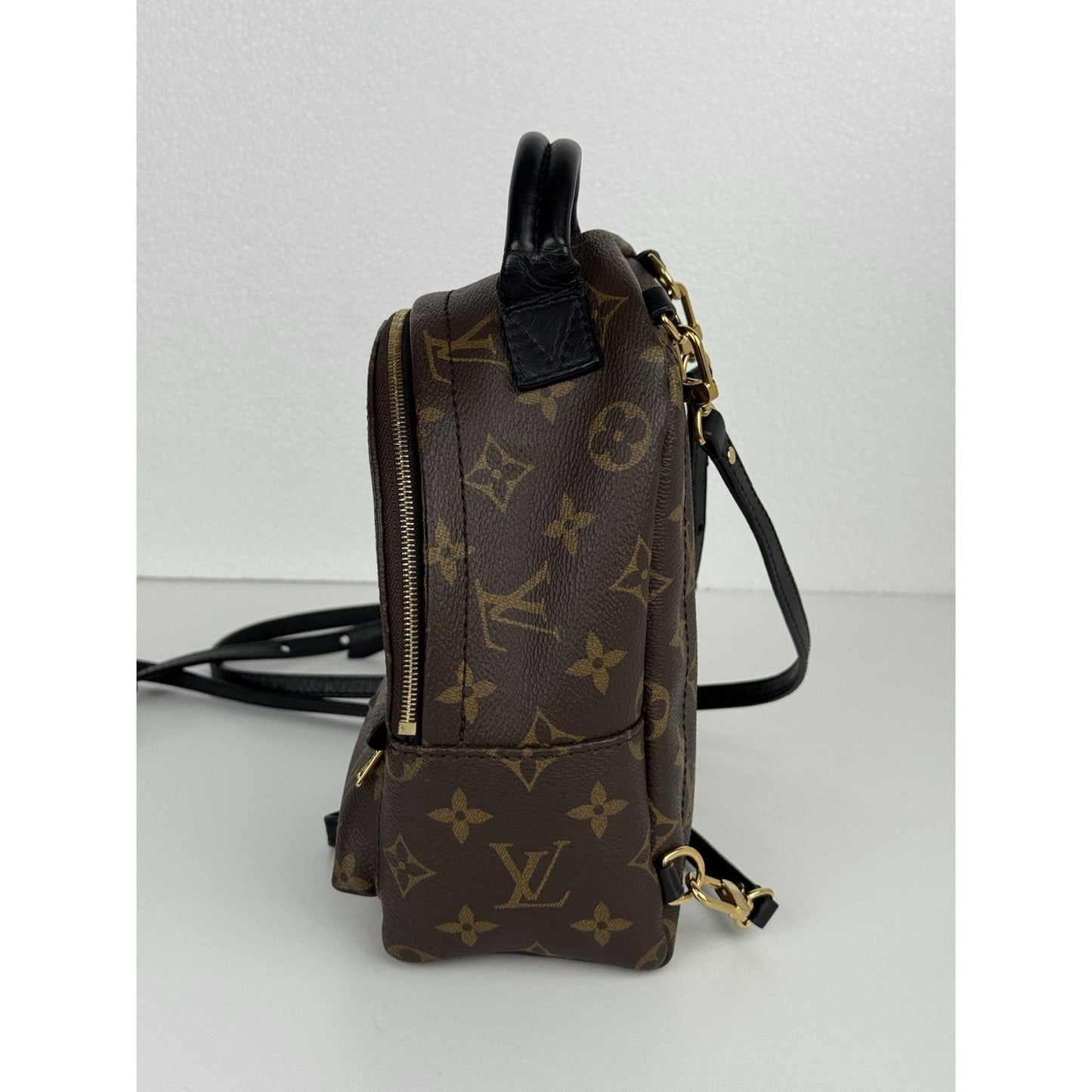 Louis Vuitton Mini Palm Springs Women's Backpack in Brown Monogram