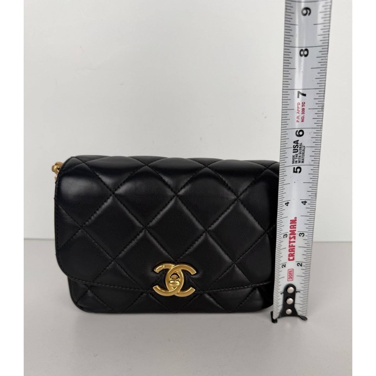 Chanel CC Coin Chain Flap Bag Small in Black Quilted Lambskin Leather 2020 F1