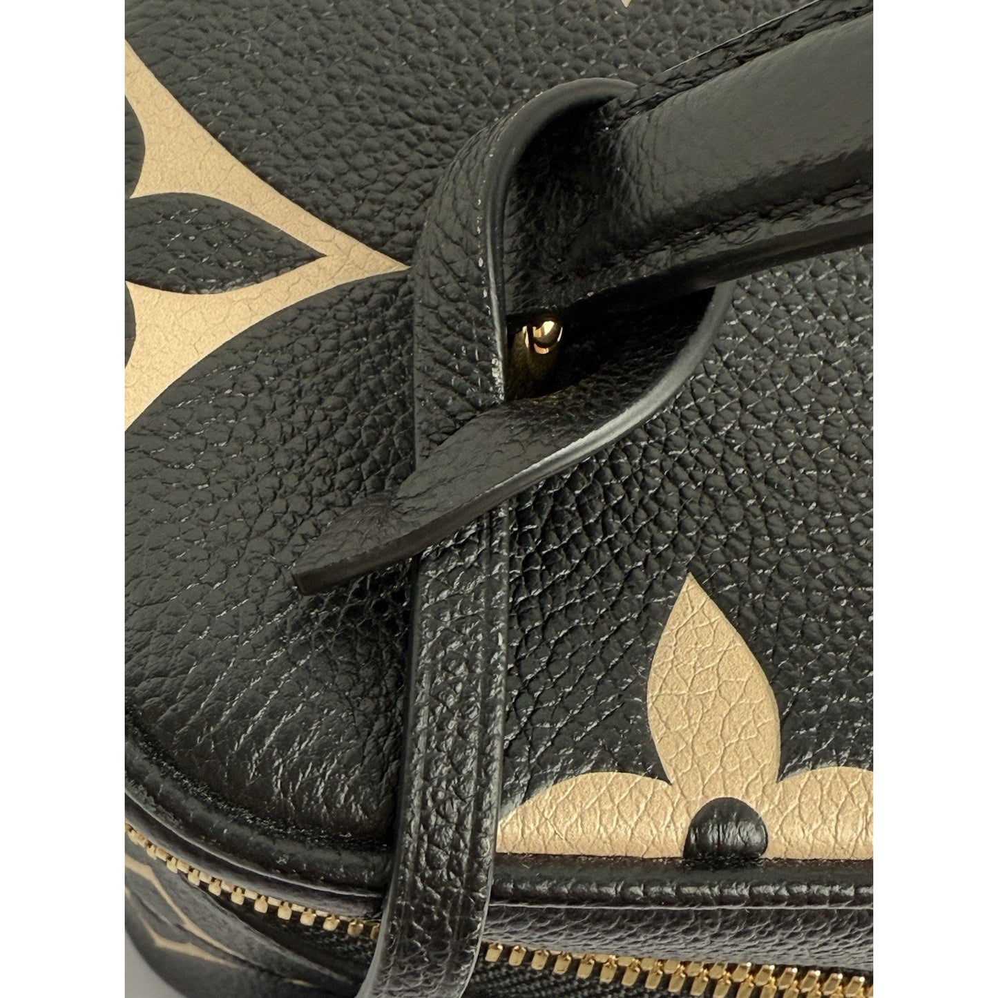 Louis Vuitton Vanity Handbag Bicolor Monogram Empriente Giant PM