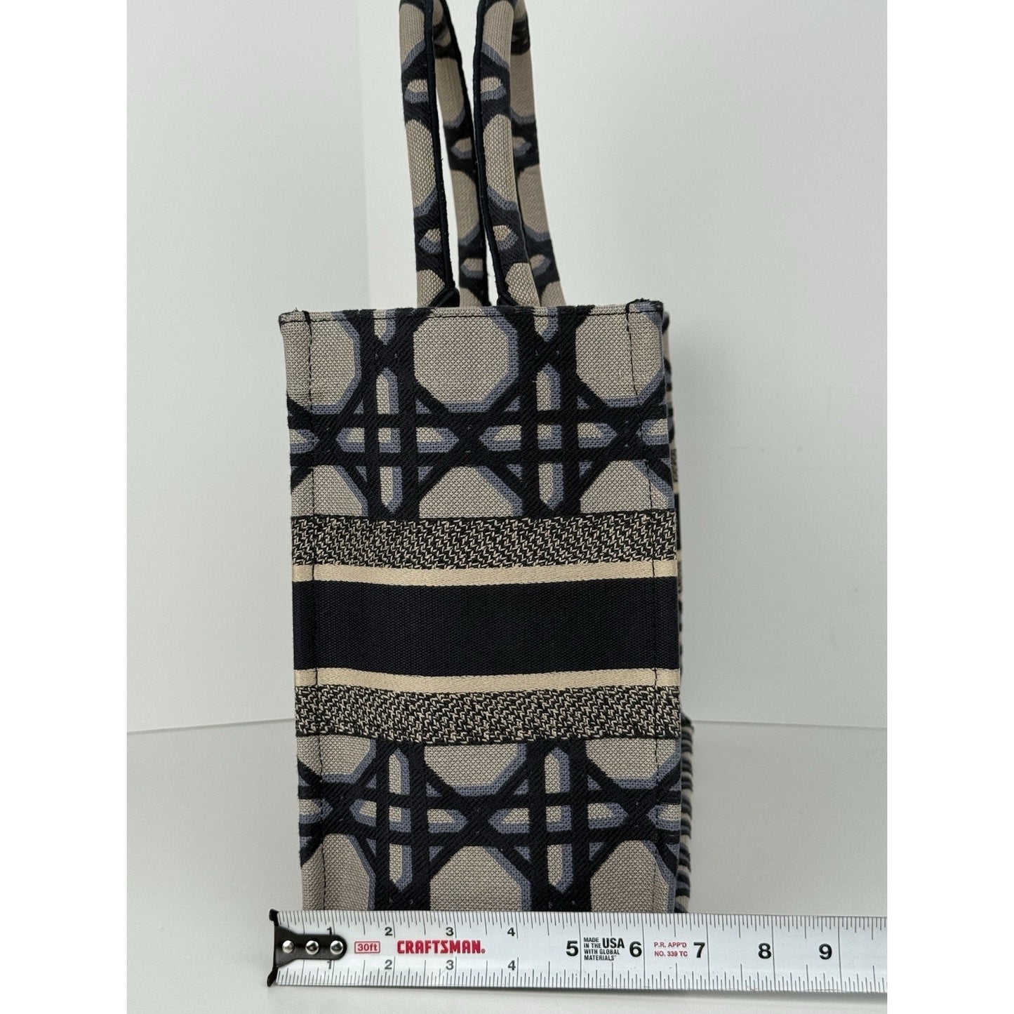 Christian Dior Blue & Neutral Canvas Medium Book Tote Women's Bag