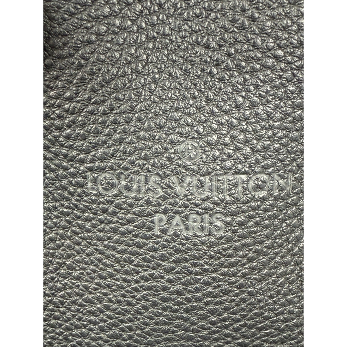 Louis Vuitton W Tote Veau Cachemire Calfskin PM