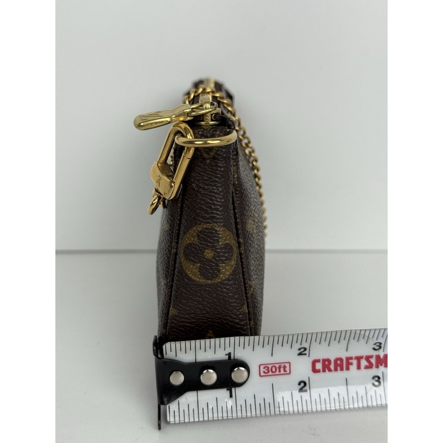 Louis Vuitton Mini Pochette Accessoires Monogram Canvas Brown with Gold Hardware