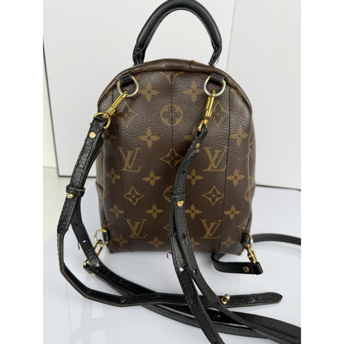 Louis Vuitton Mini Palm Springs Women's Backpack in Brown Monogram