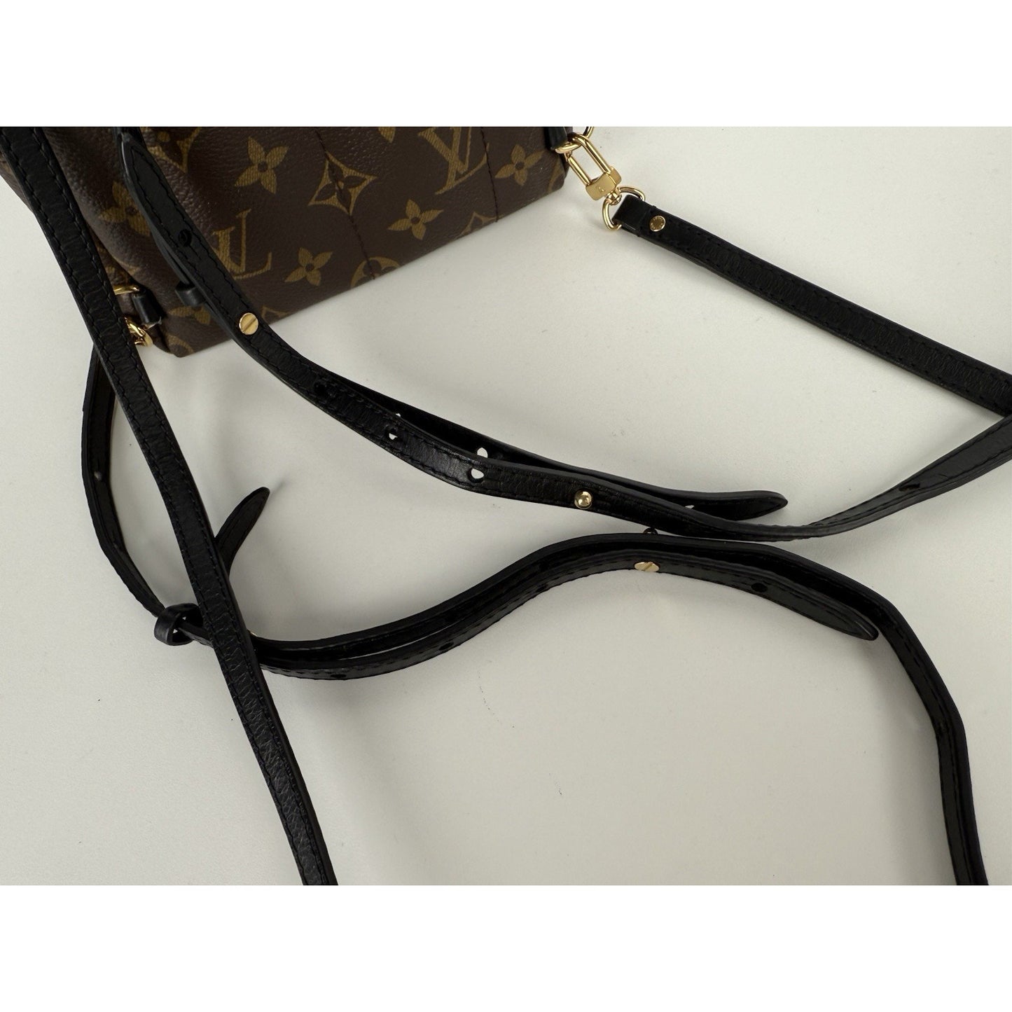 Louis Vuitton Mini Palm Springs Women's Backpack in Brown Monogram