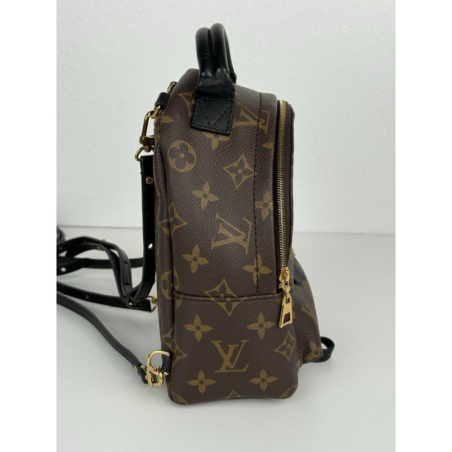 Louis Vuitton Mini Palm Springs Women's Backpack in Brown Monogram