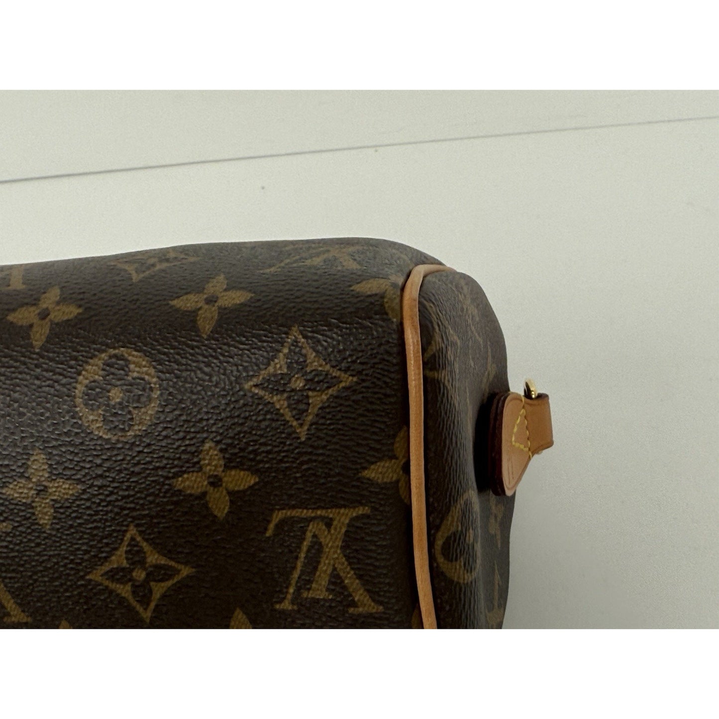 Louis Vuitton Monogram Nano Speedy Handbag