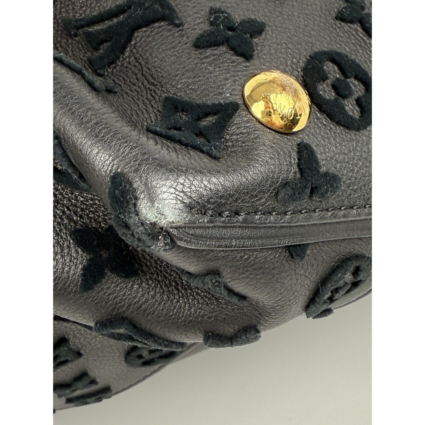 Louis Vuitton W Tote Veau Cachemire Calfskin PM