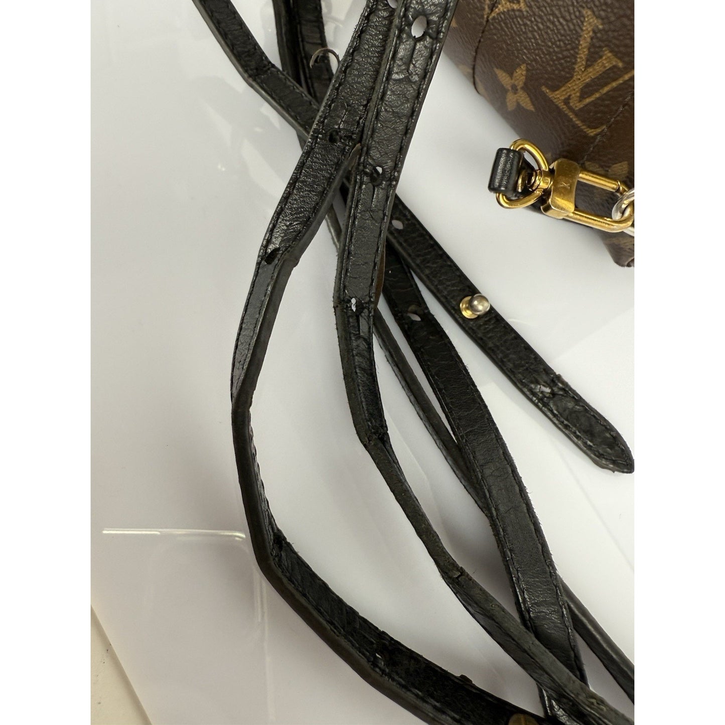 Louis Vuitton Mini Palm Springs Women's Backpack in Brown Monogram
