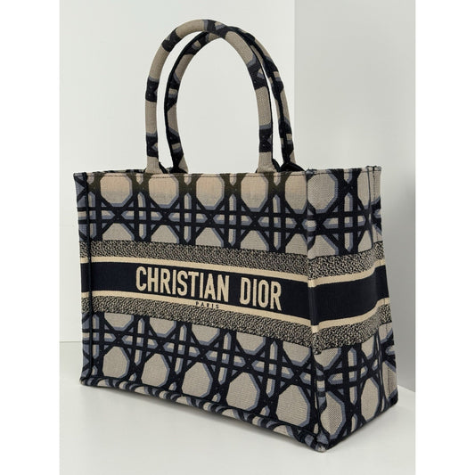 Christian Dior Blue & Neutral Canvas Medium Book Tote Women's Bag