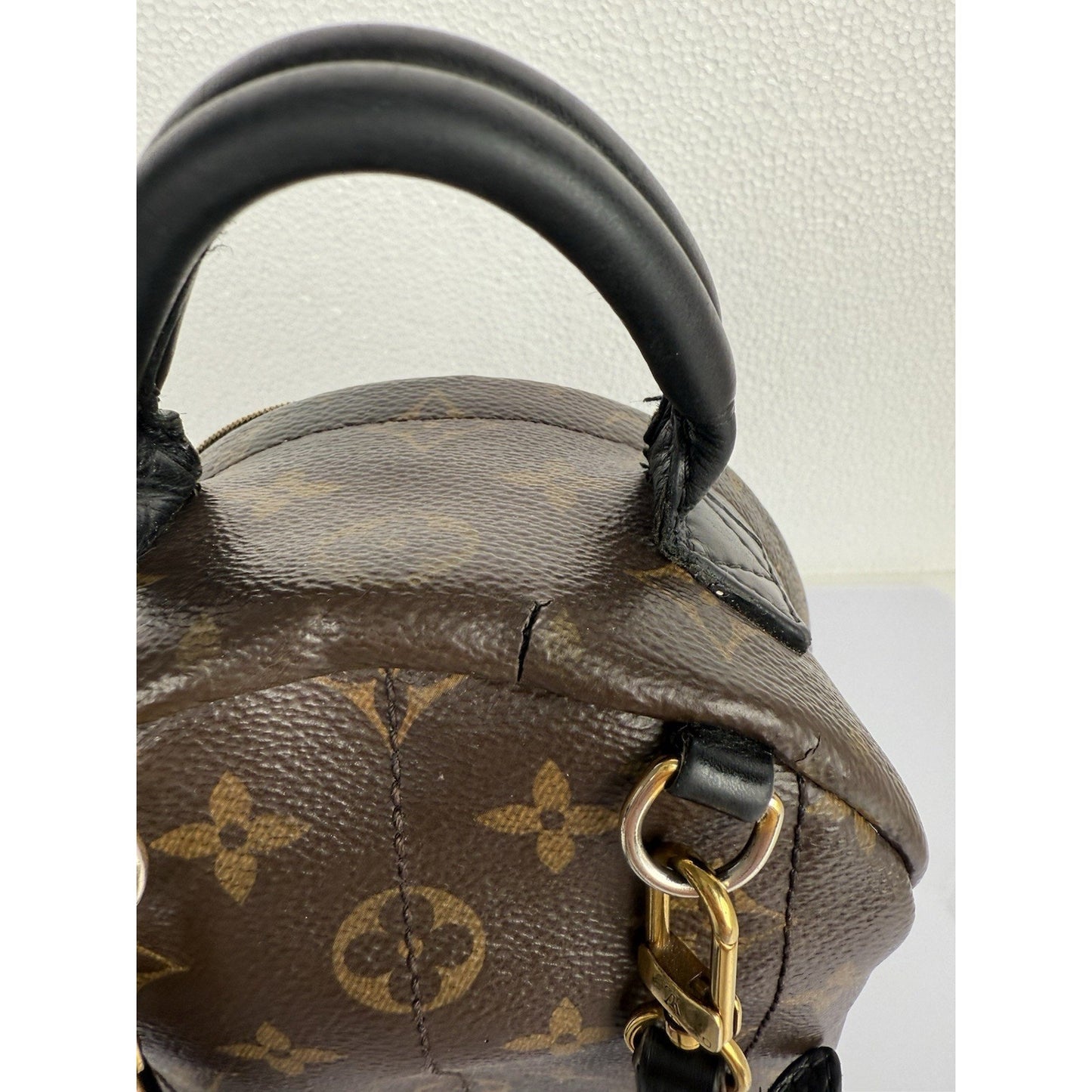 Louis Vuitton Mini Palm Springs Women's Backpack in Brown Monogram