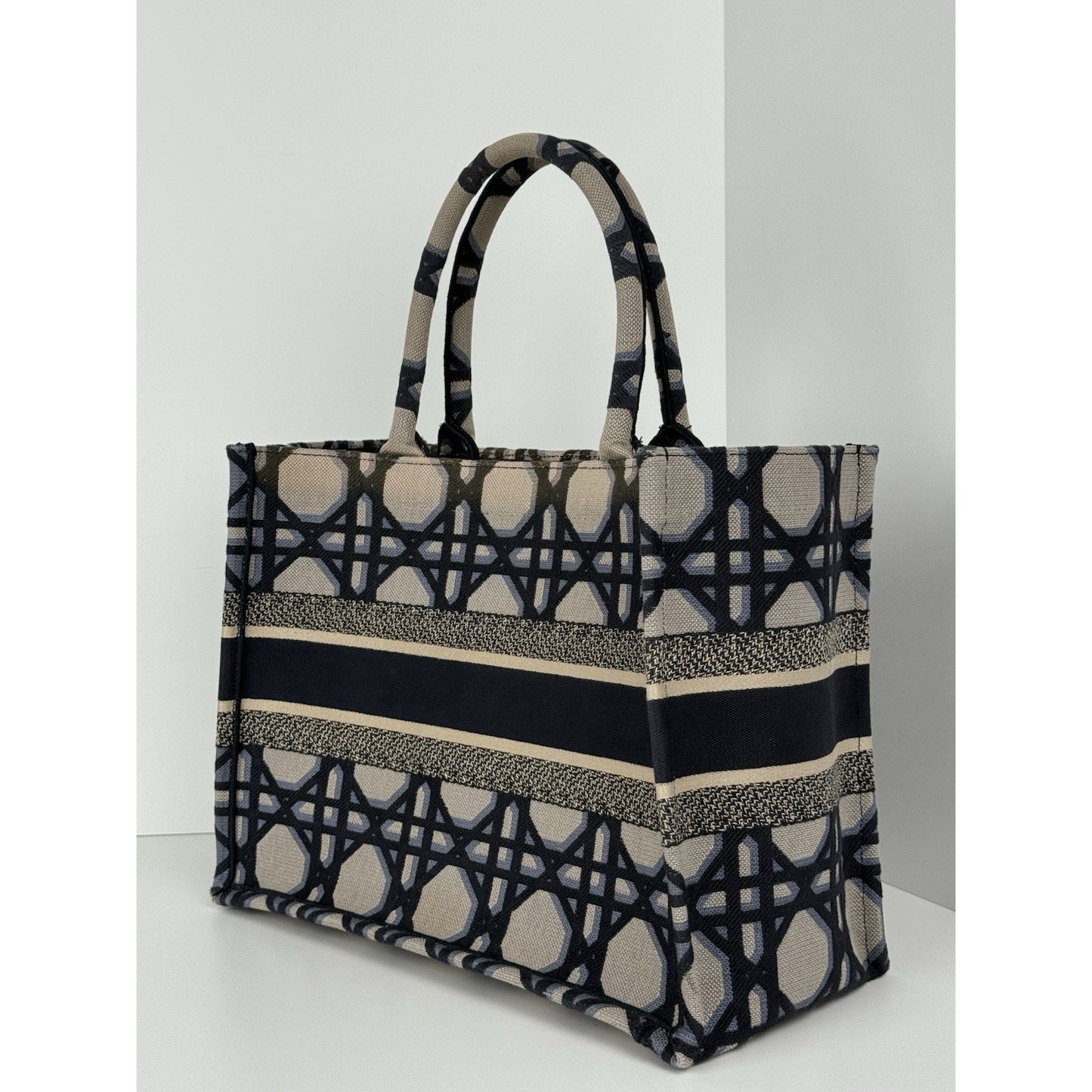 Christian Dior Blue & Neutral Canvas Medium Book Tote Women's Bag