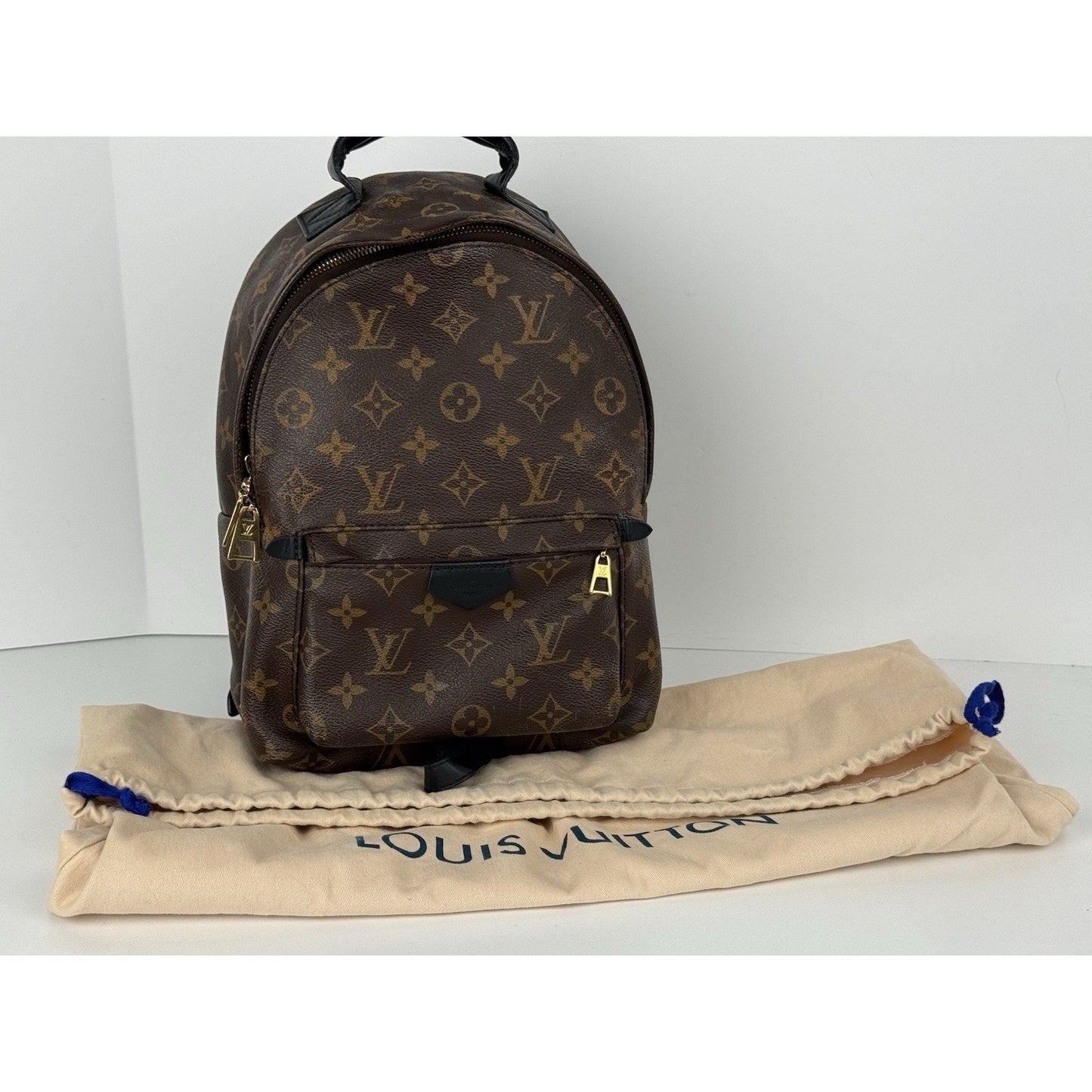 Louis Vuitton Palm Springs Backpack Monogram Canvas MM