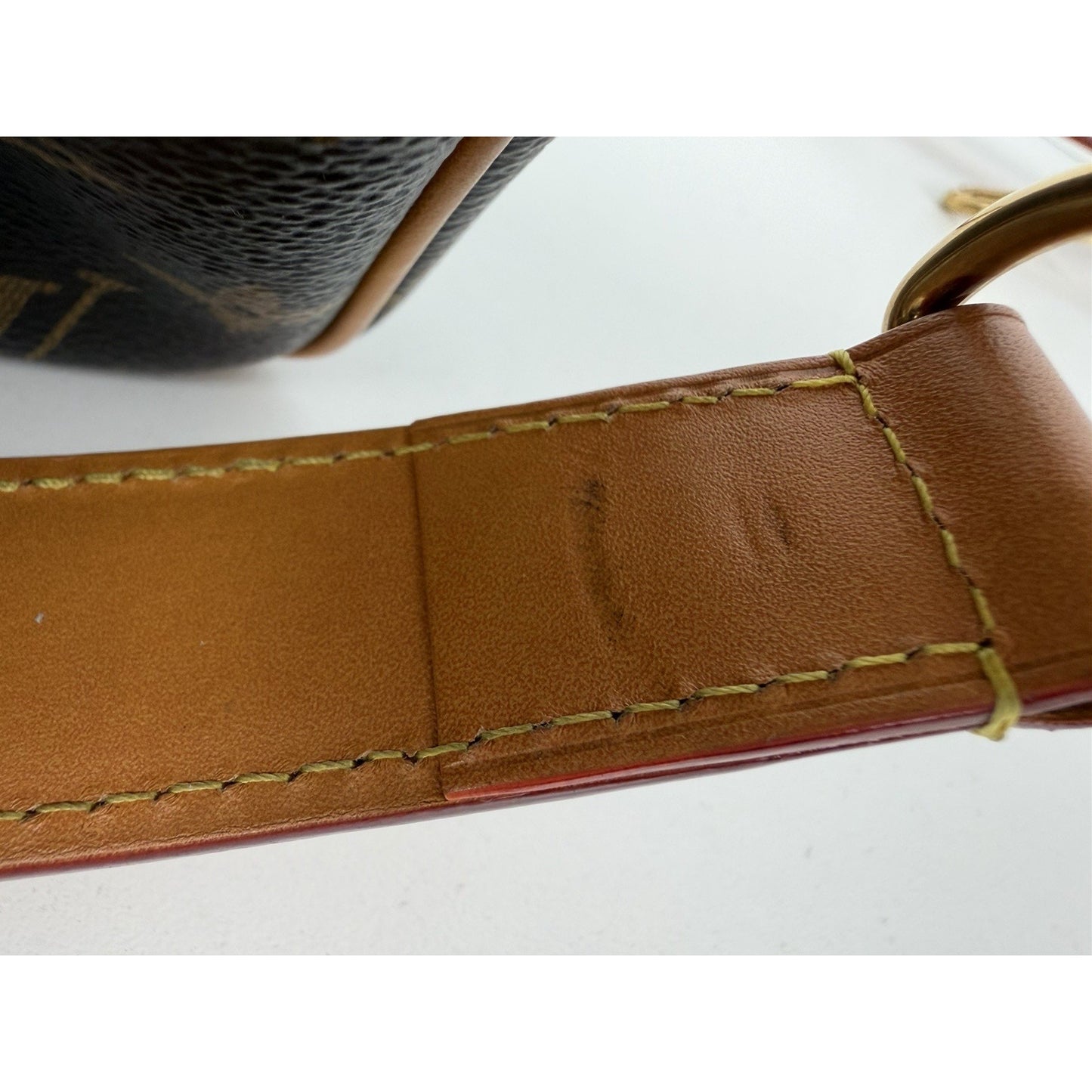 Louis Vuitton Danube PM Shoulder Bag in Monogram Canvas Microchipped C9