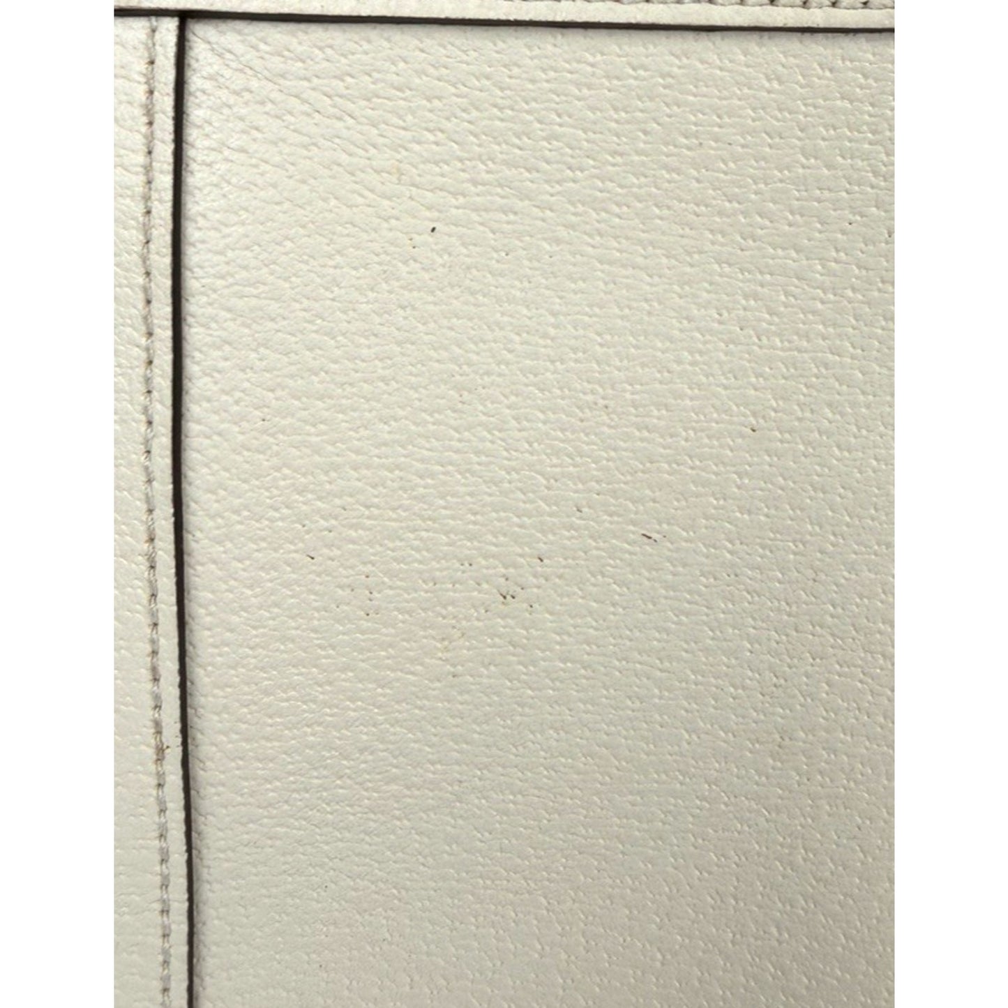 Gucci Ophidia Chain Shoulder Bag Small in White Calfskin Leather S19
