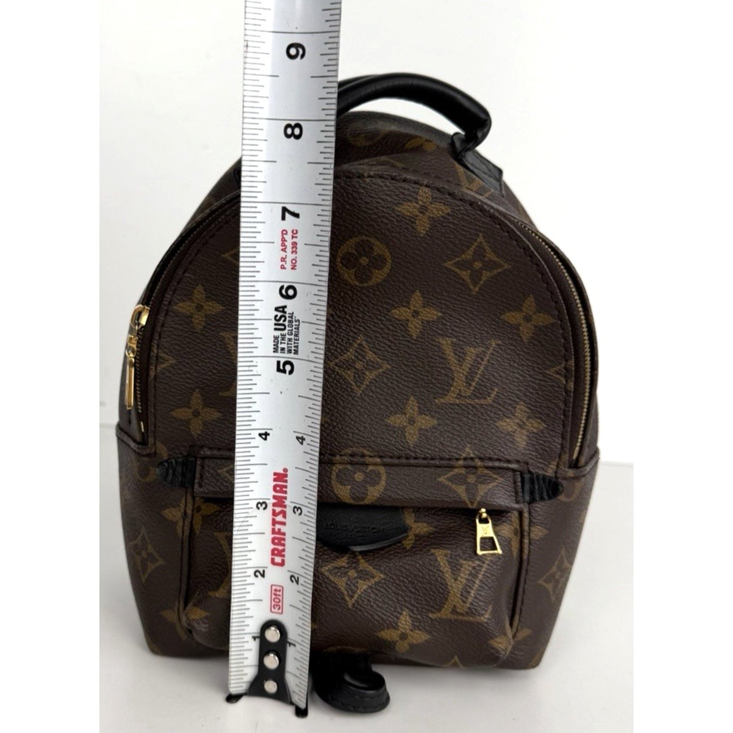 Louis Vuitton Palm Springs Mini Backpack Bag in Brown Coated Canvas 2020 D7