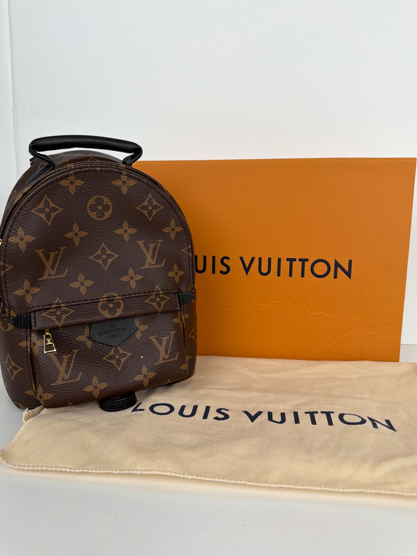 Louis Vuitton Palm Springs Mini Backpack Monogram