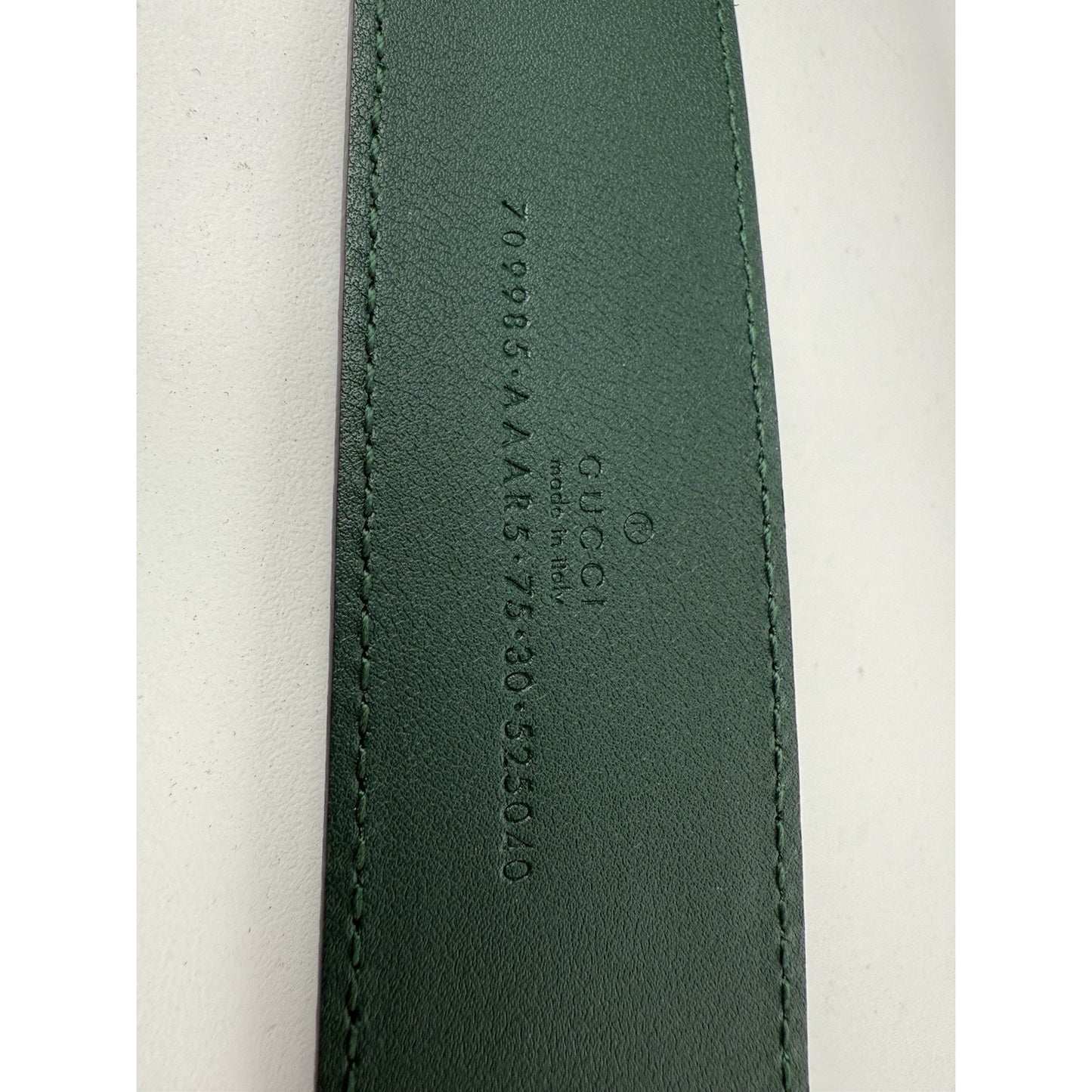 Gucci Double G Memorable Buckle Belt Pink and Green with Gold Hardware