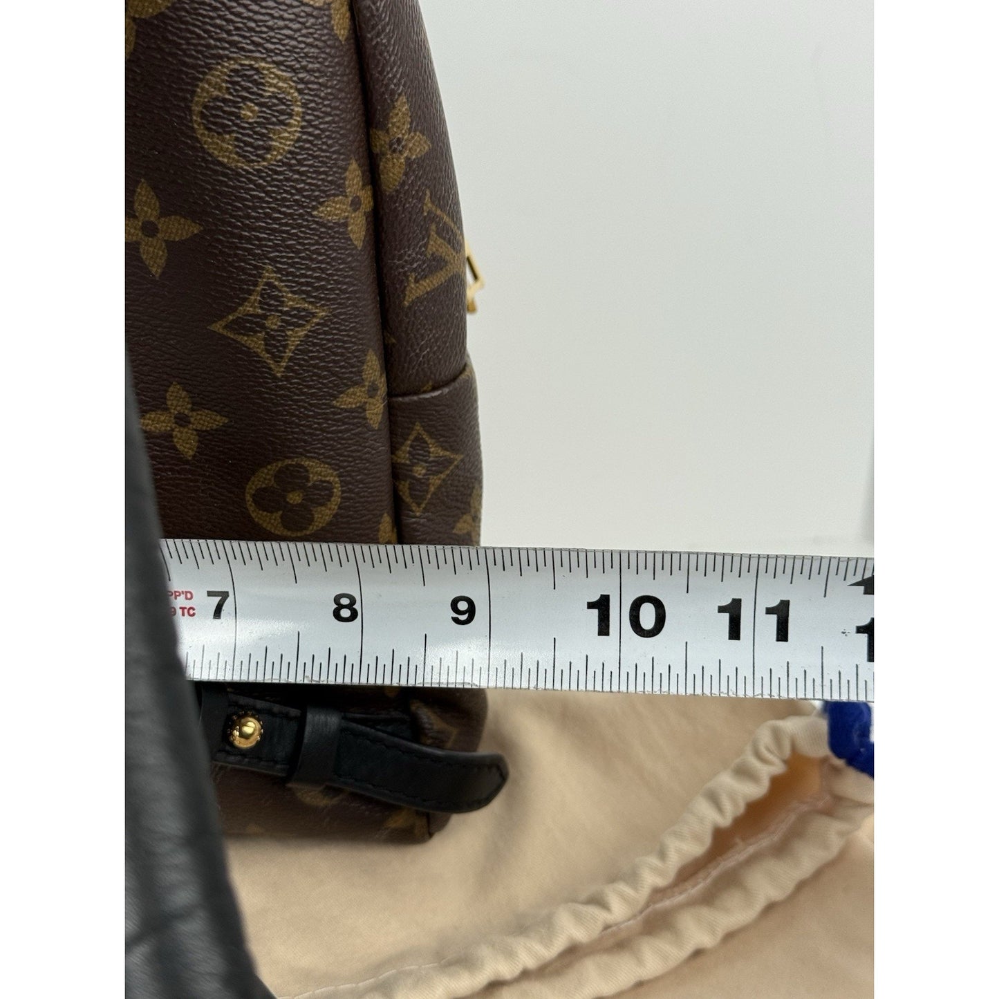 Louis Vuitton Palm Springs Backpack Monogram Canvas MM
