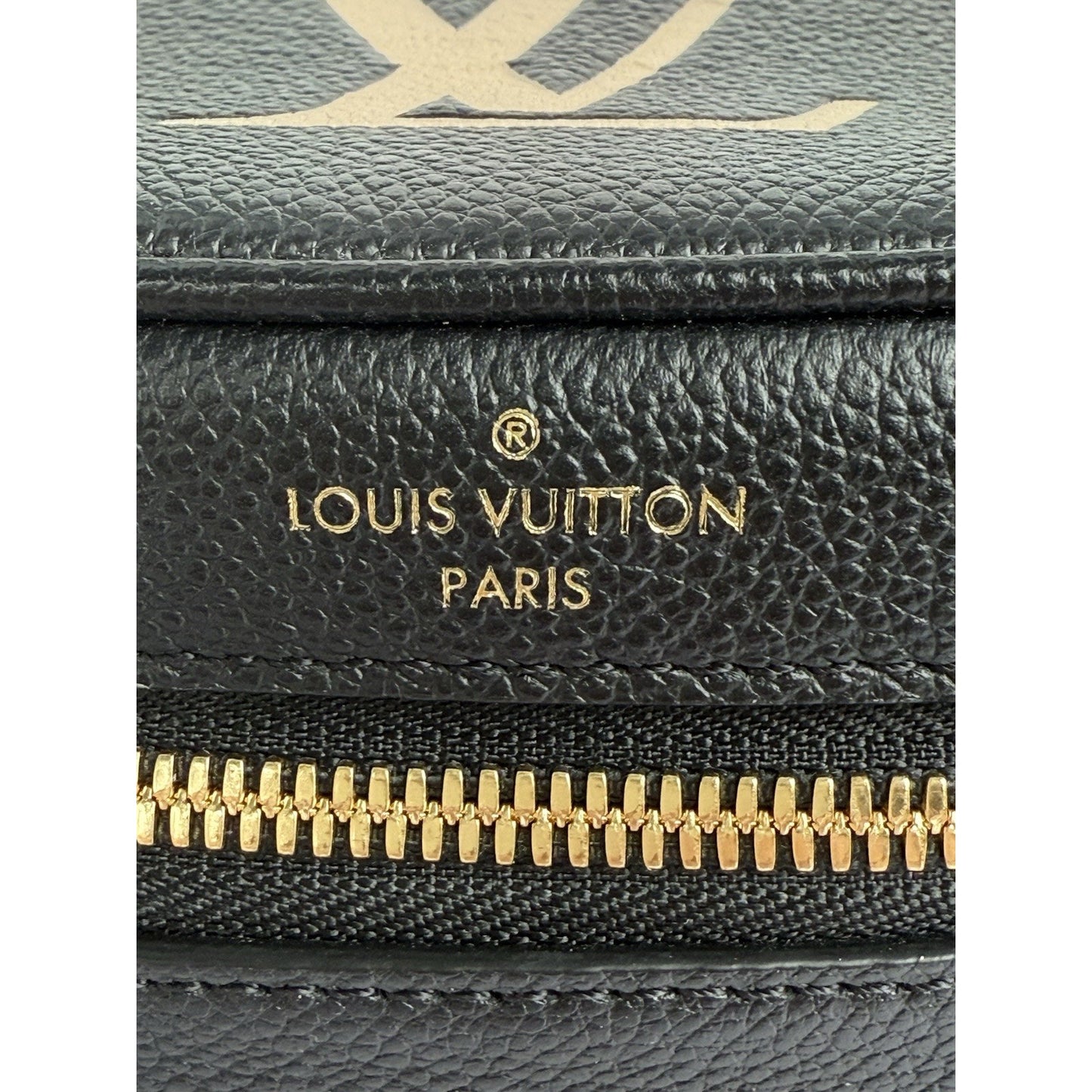 Louis Vuitton Vanity Handbag Bicolor Monogram Empriente Giant PM