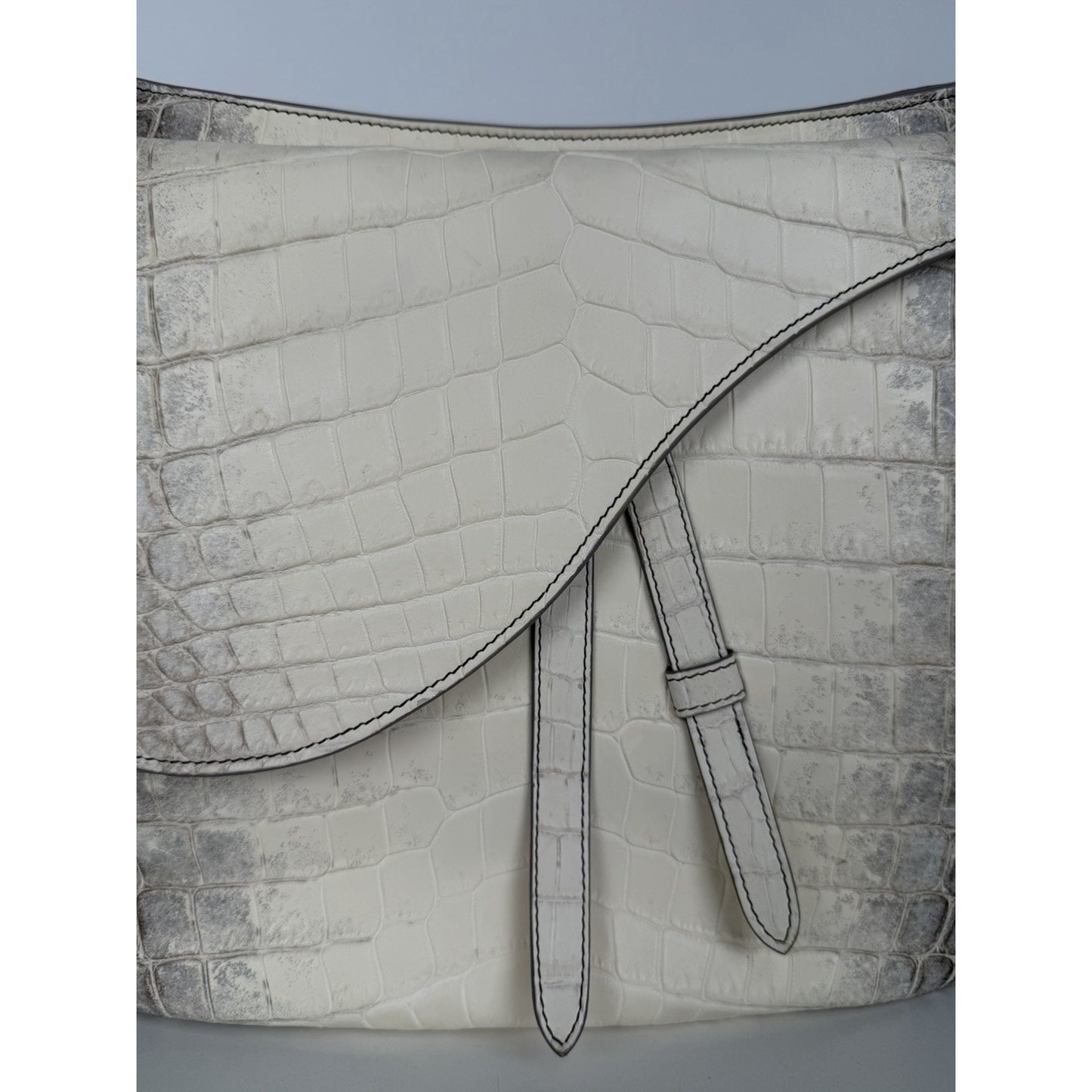 Chritian Dior Himalayan Crocodile XL Soft Saddle Men’s Bag Beige