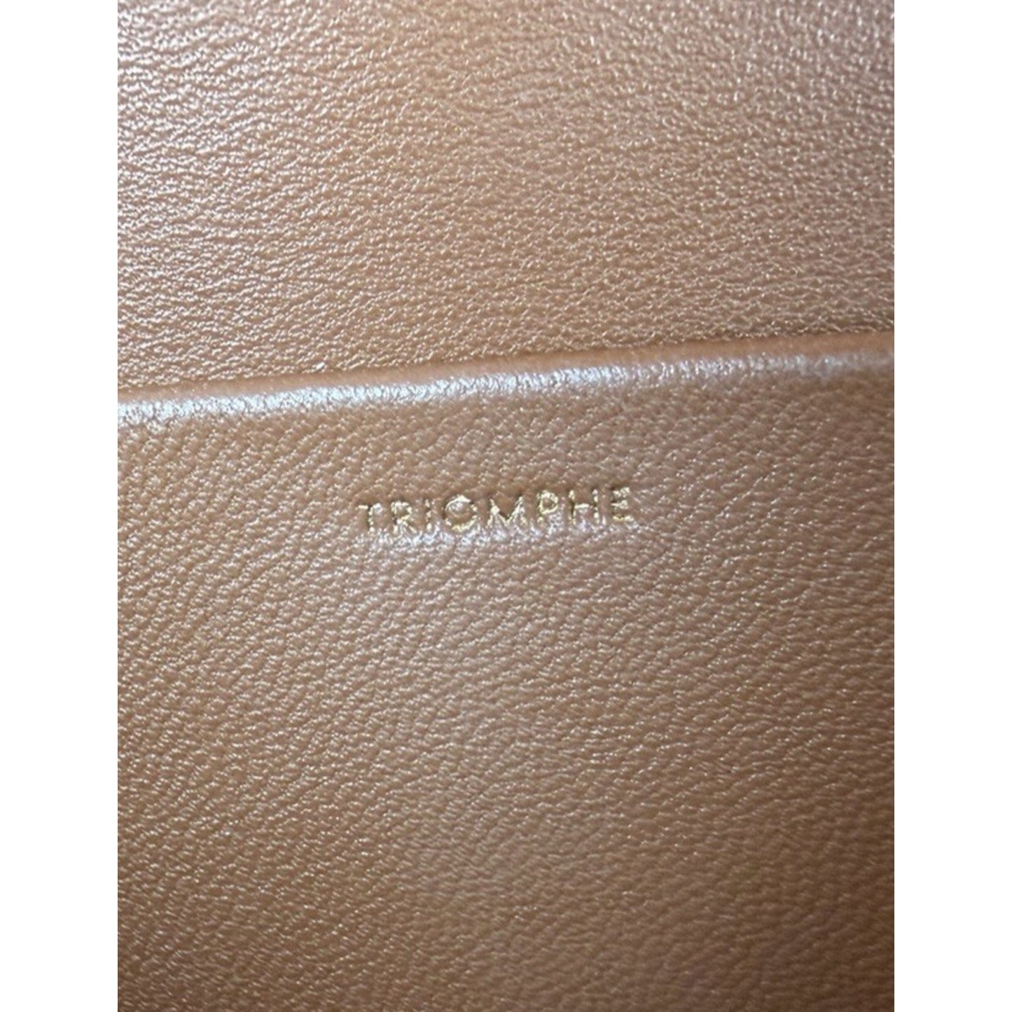 Celine Triomphe Claude Shoulder Bag in Natural Calfskin Leather Gold Hardware C5