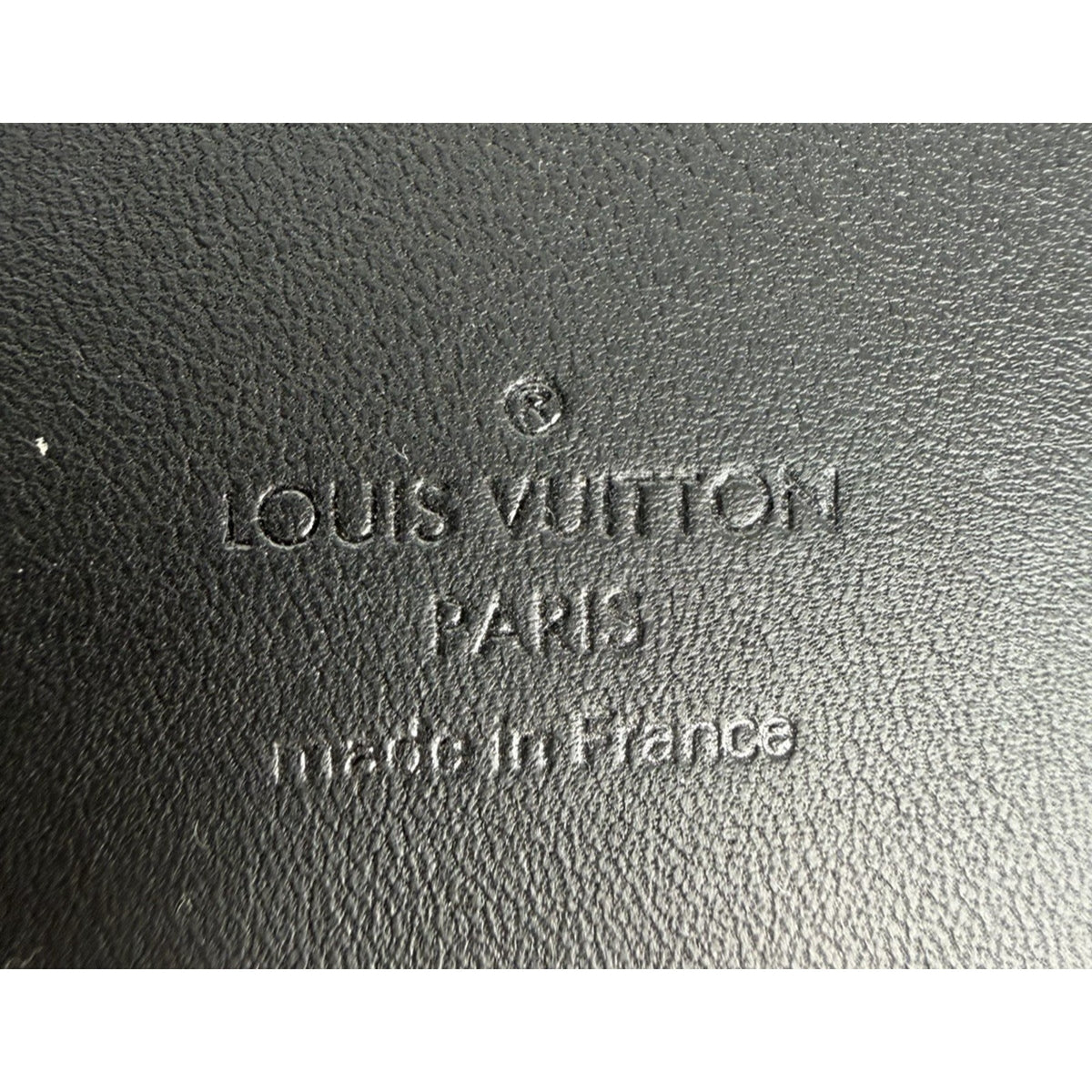 Louis Vuitton x Nigo Turtle Crossbody Bag in Damier Ebene Coated Canvas NFC S-08
