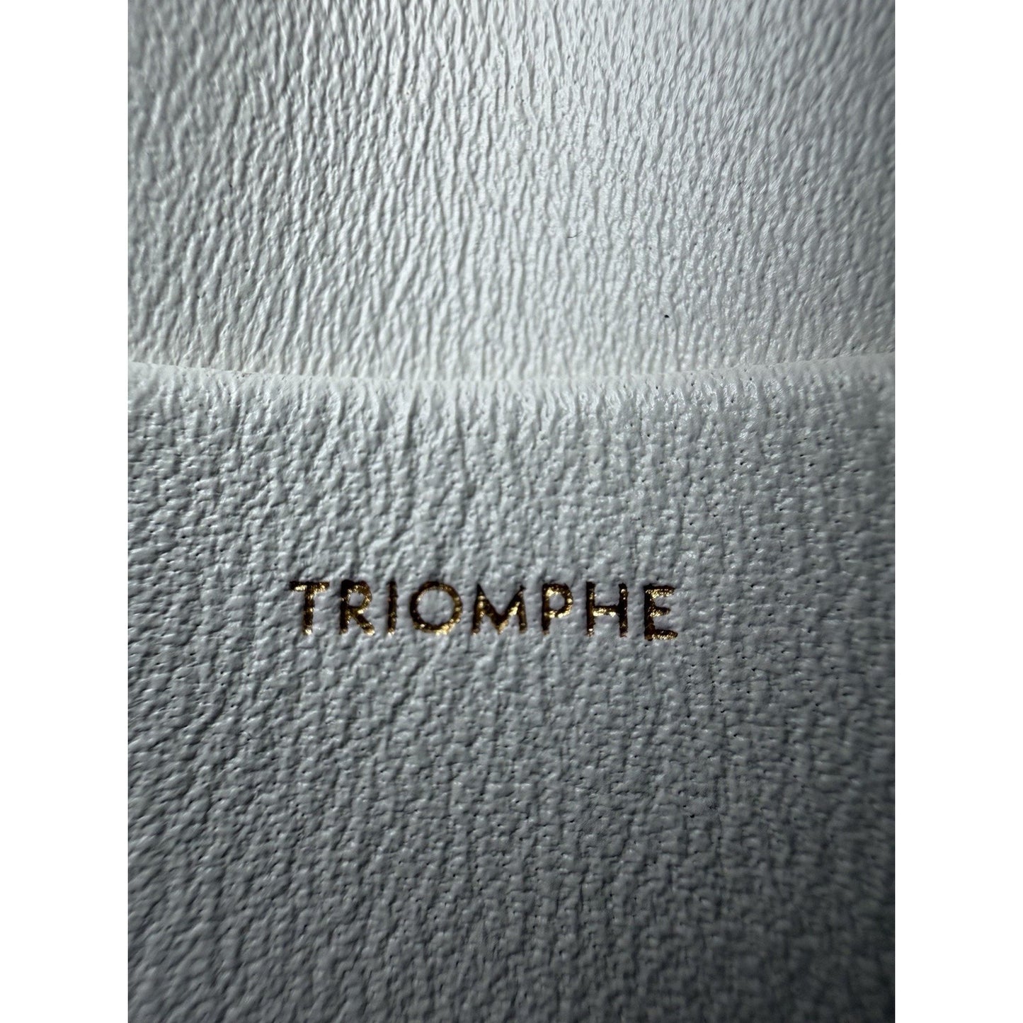 Celine Teen Triomphe Shoulder Bag in Natural Raffia White Calfskin Trim 2023 C2