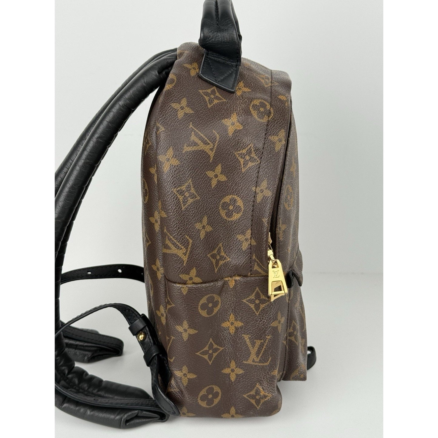 Louis Vuitton Palm Springs Backpack Monogram Canvas MM