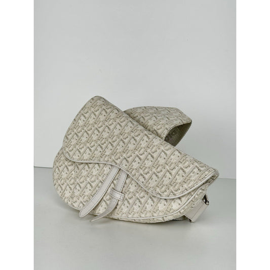 Dior Saddle Bag Light Grey Oblique Canvas with Silver Hardware C-1
