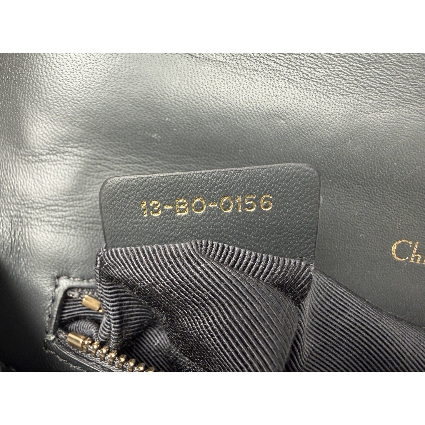 Christian Dior Diorama Medium Flap Bag Crackled Deerskin Leather S05