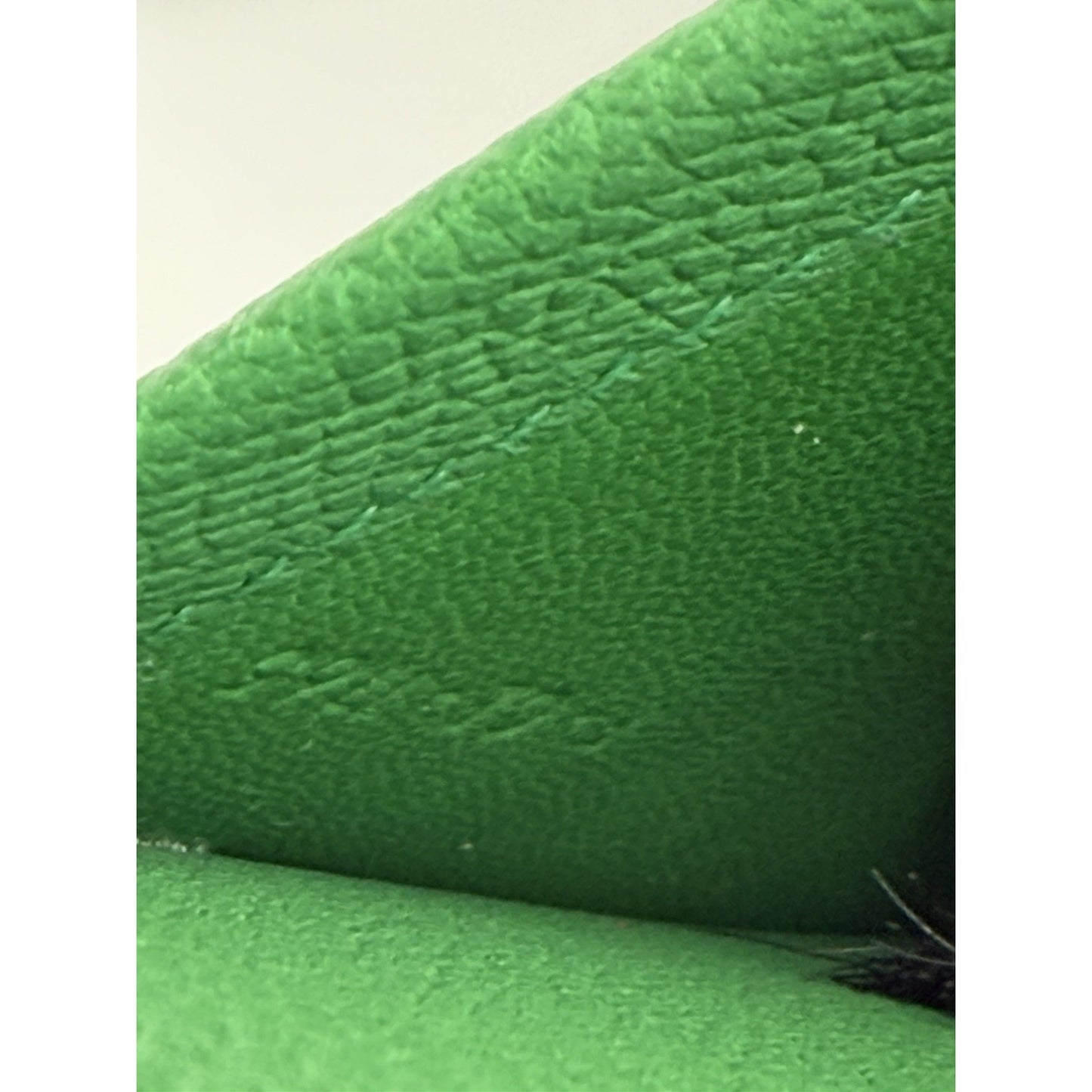 Celine by Phoebe Philo Trotteur Small Crossbody Bag in Grainy Green Leather S-08