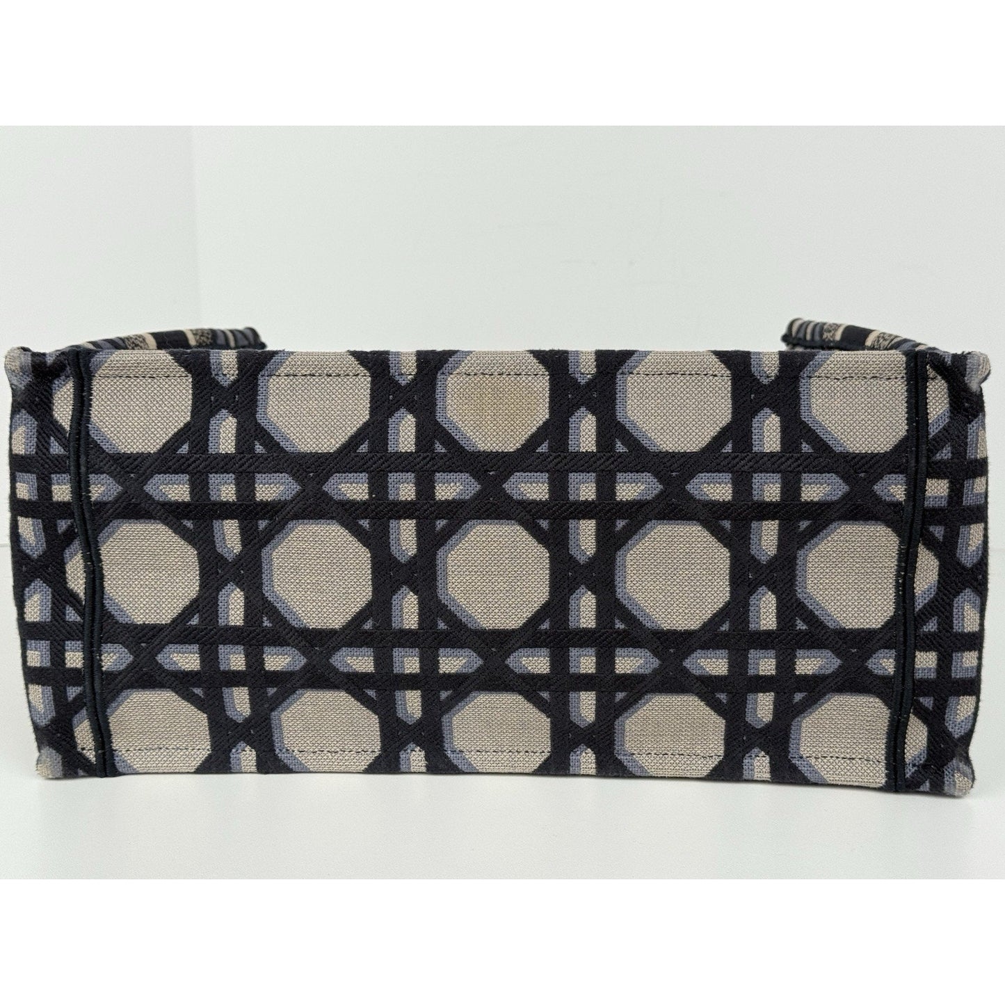 Christian Dior Blue & Neutral Canvas Medium Book Tote Women's Bag