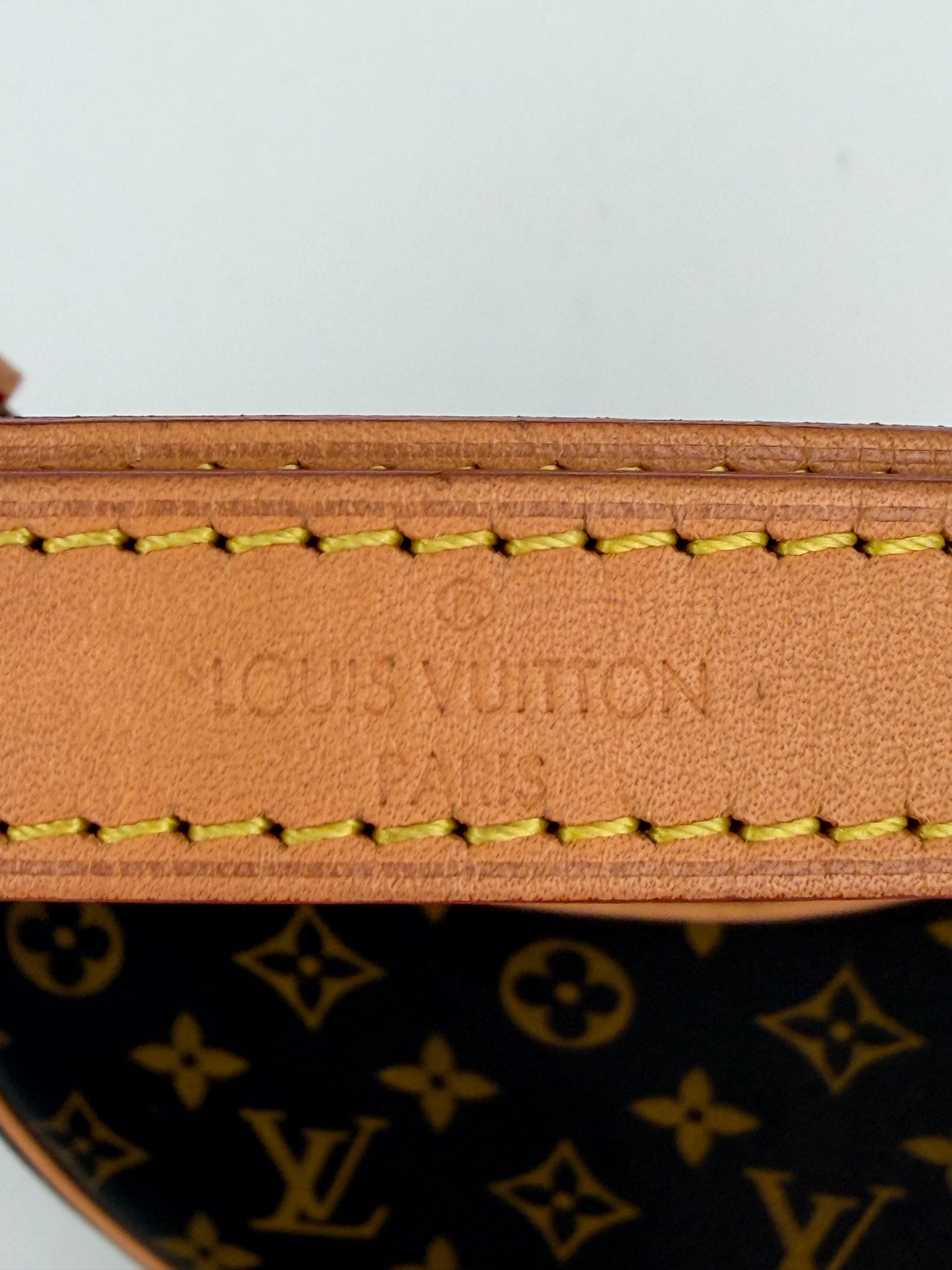 Louis Vuitton Loop Shoulder Bag in Brown LV Monogram Coated Canvas NFC YE-1