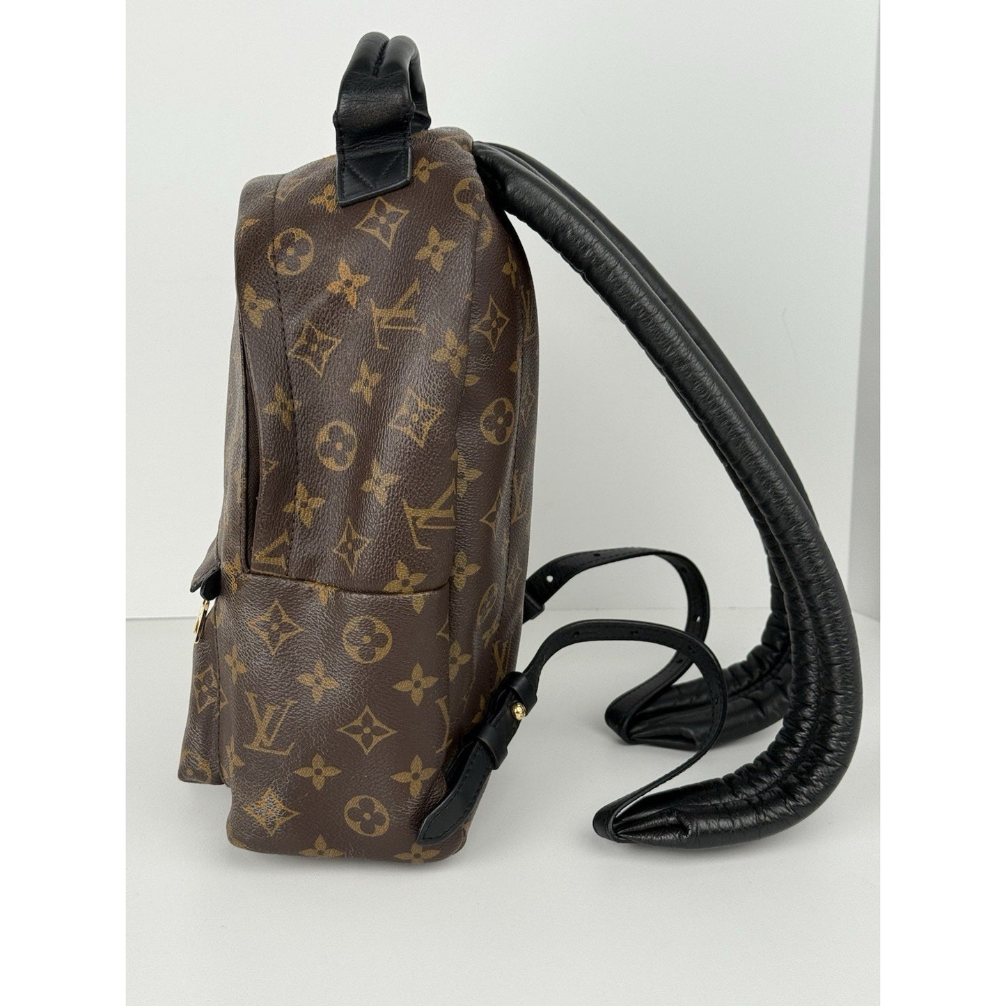 Louis Vuitton Palm Springs Backpack Monogram Canvas MM