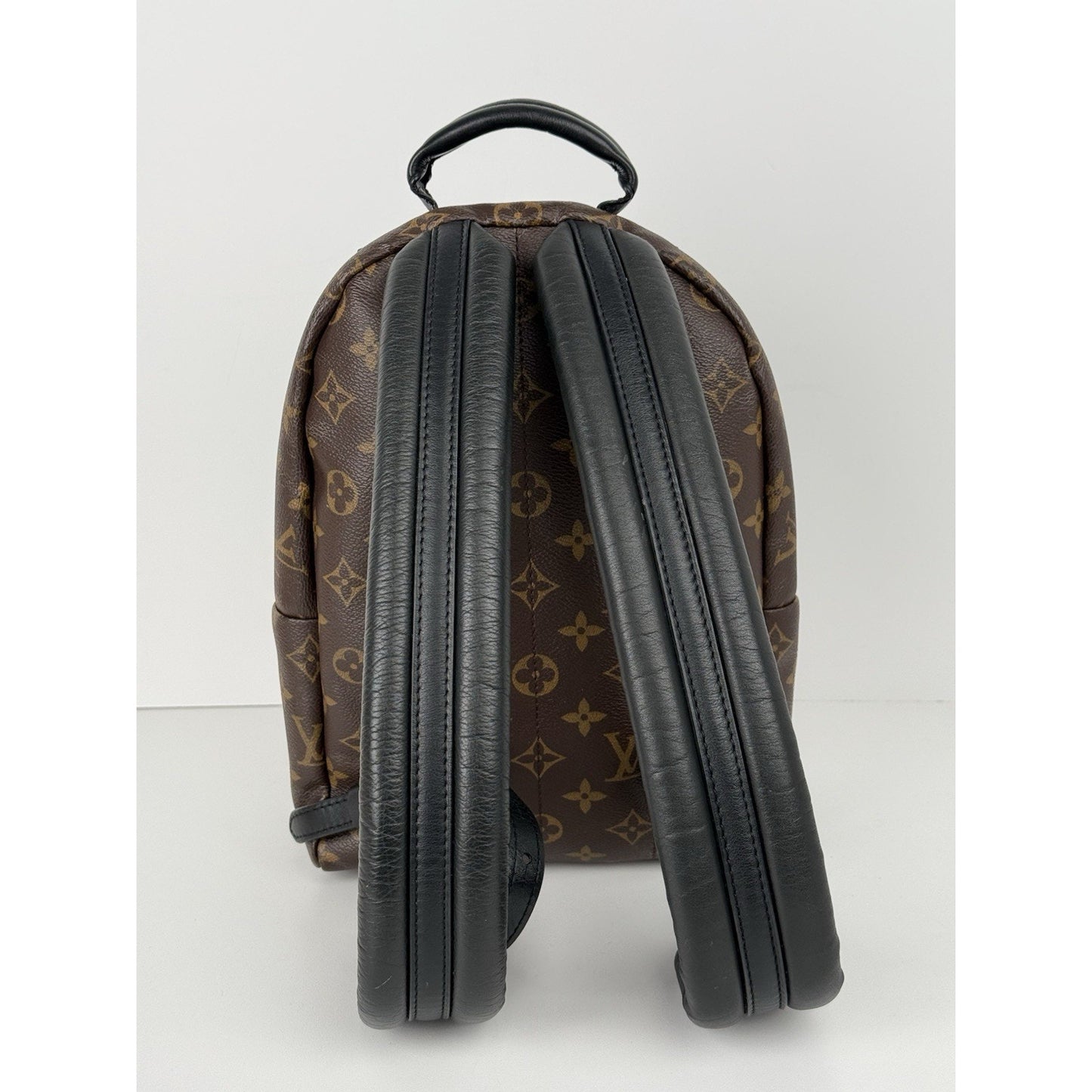 Louis Vuitton Palm Springs Backpack Monogram Canvas MM