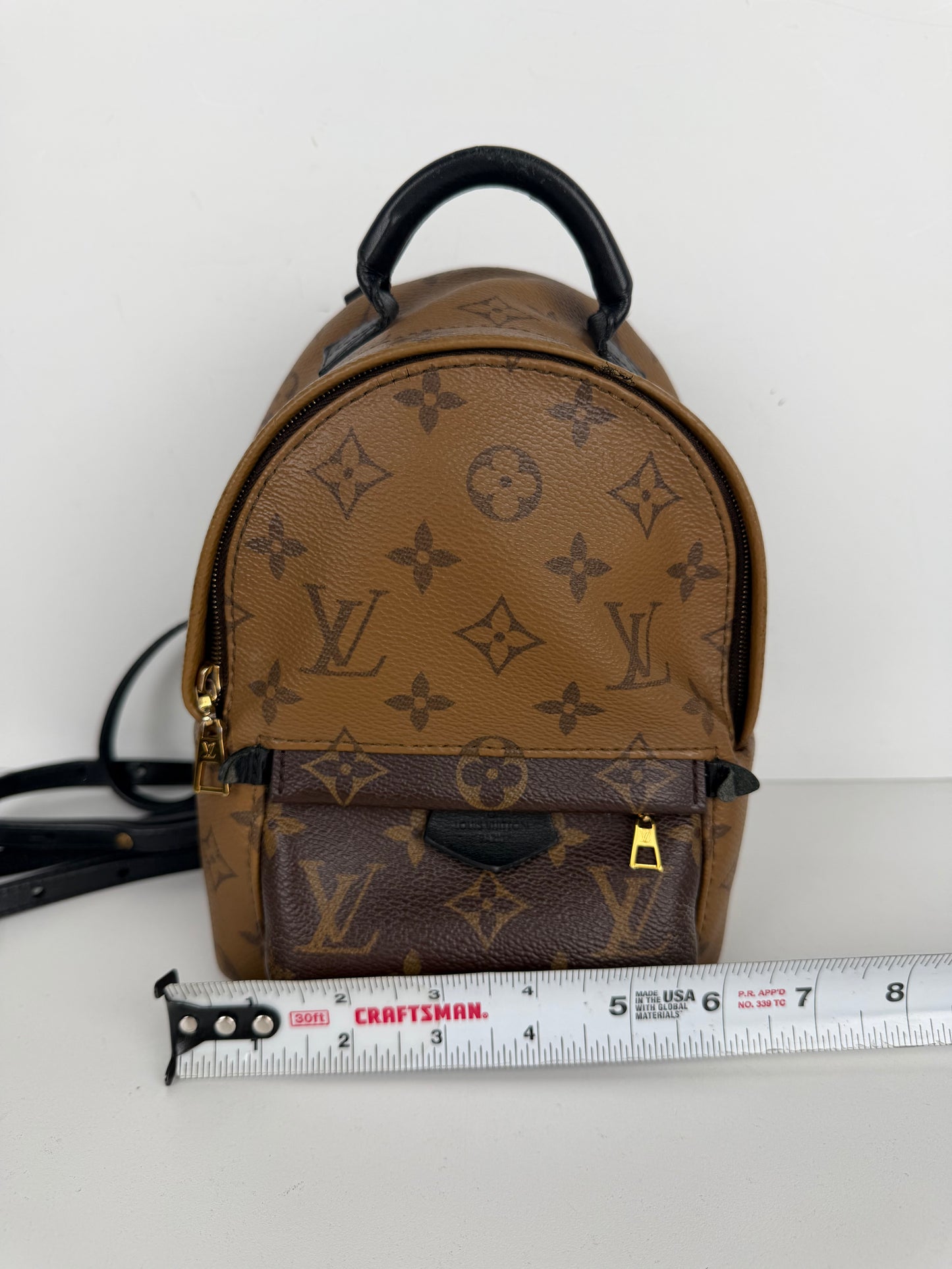 Louis Vuitton Palm Springs Mini Backpack in Brown Reverse Monogram 2018 B-1