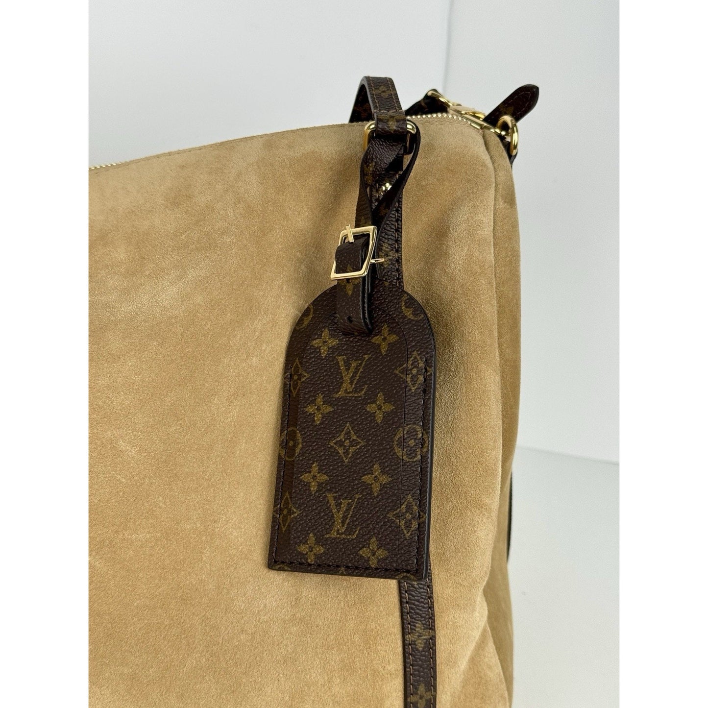 Louis Vuitton Express Travel Bag in Supple Calfskin Leather Microchipped C2