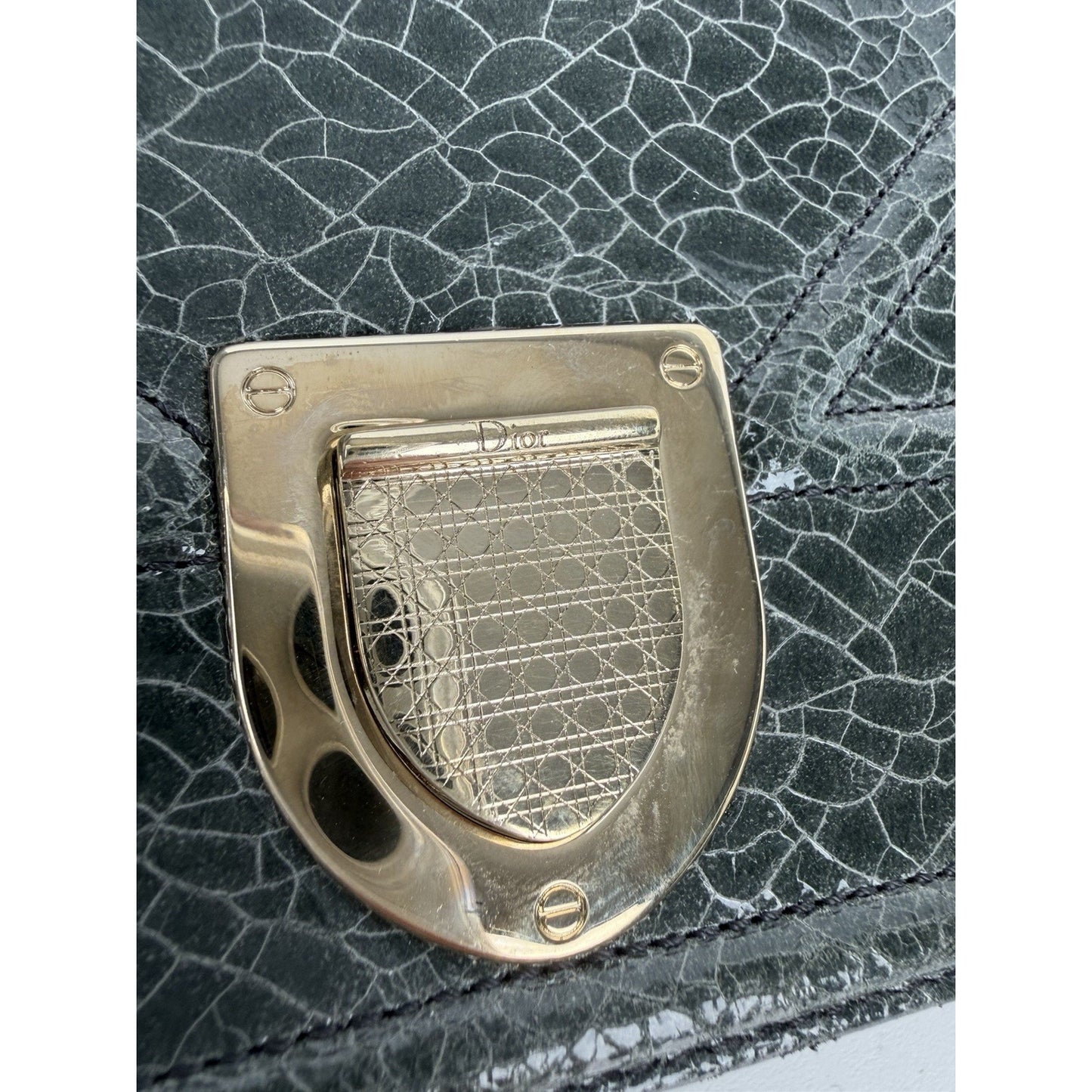 Christian Dior Diorama Medium Flap Bag Crackled Deerskin Leather S05