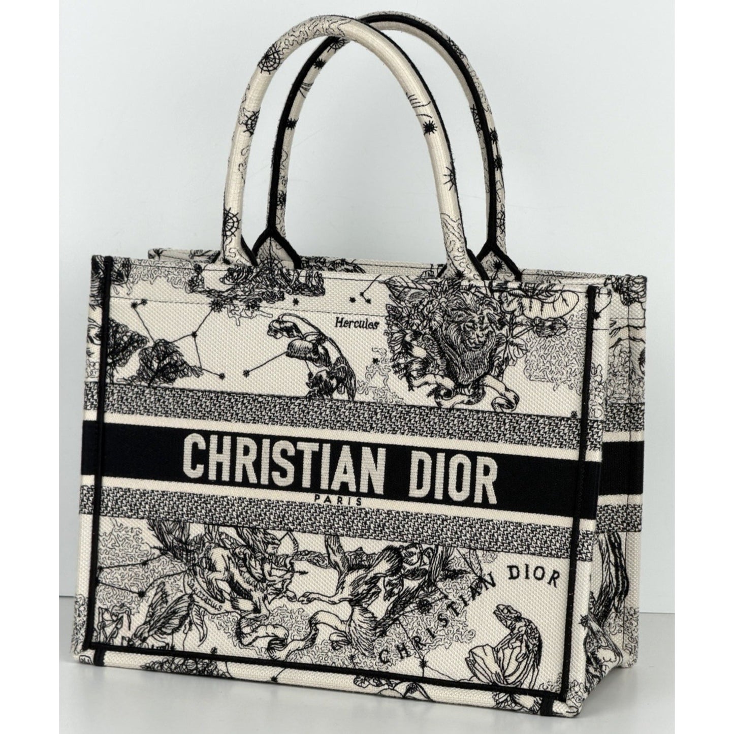 Christian Dior Book Tote Medium Bag in the Toile De Jouy Zodiac Embroidery B3