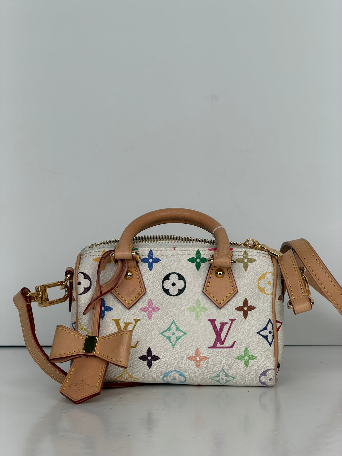 Louis Vuitton Multicolore Monogram Speedy Nano