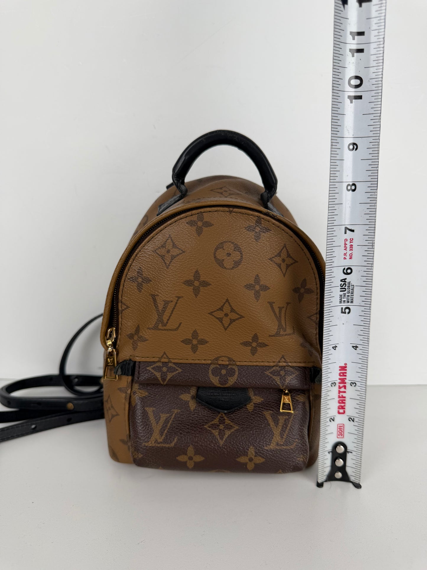 Louis Vuitton Palm Springs Mini Backpack in Brown Reverse Monogram 2018 B-1