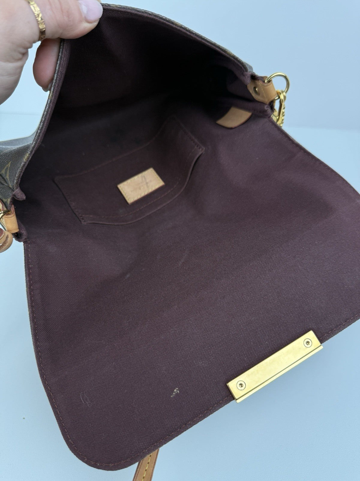 Louis Vuitton Favorite MM Brown Leather Crossbody Bag